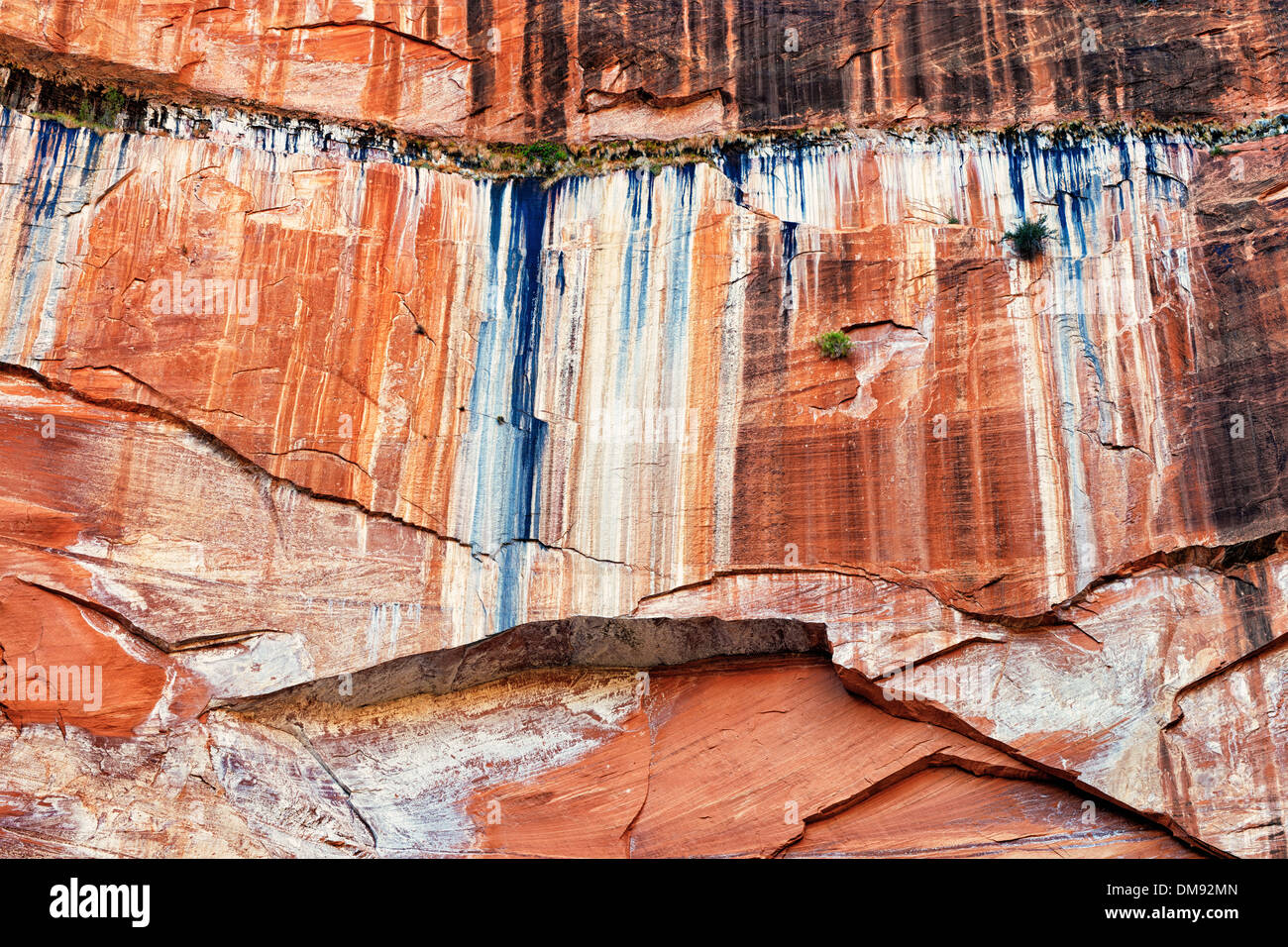 Deserto Colorato la vernice sulle pareti di pietra arenaria vicino la Emerald pool in Utah's Zion National Park. Foto Stock