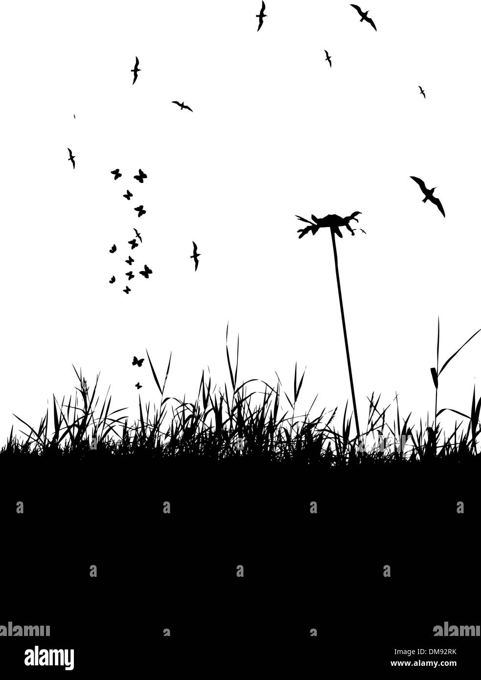 Prato estivo e gli uccelli in cielo, silhouette nera Illustrazione Vettoriale