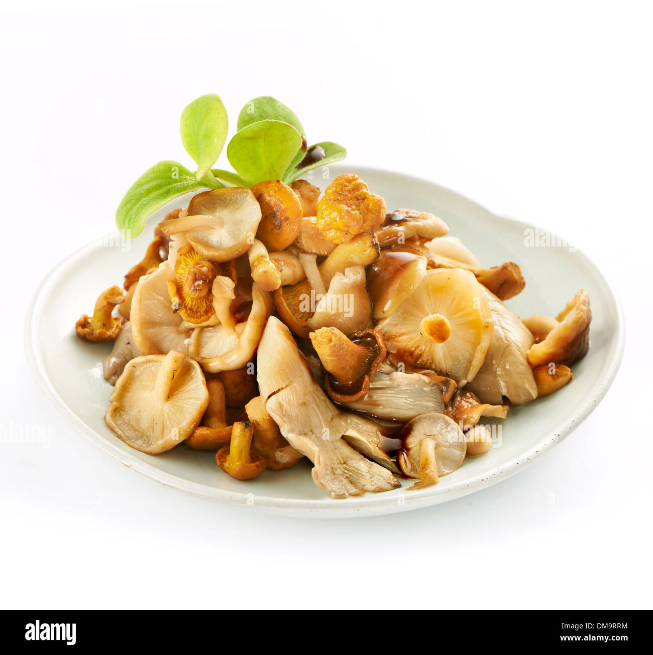 Fresca sana e gustosa insalata di funghi con tutti i tipi di funghi Foto Stock