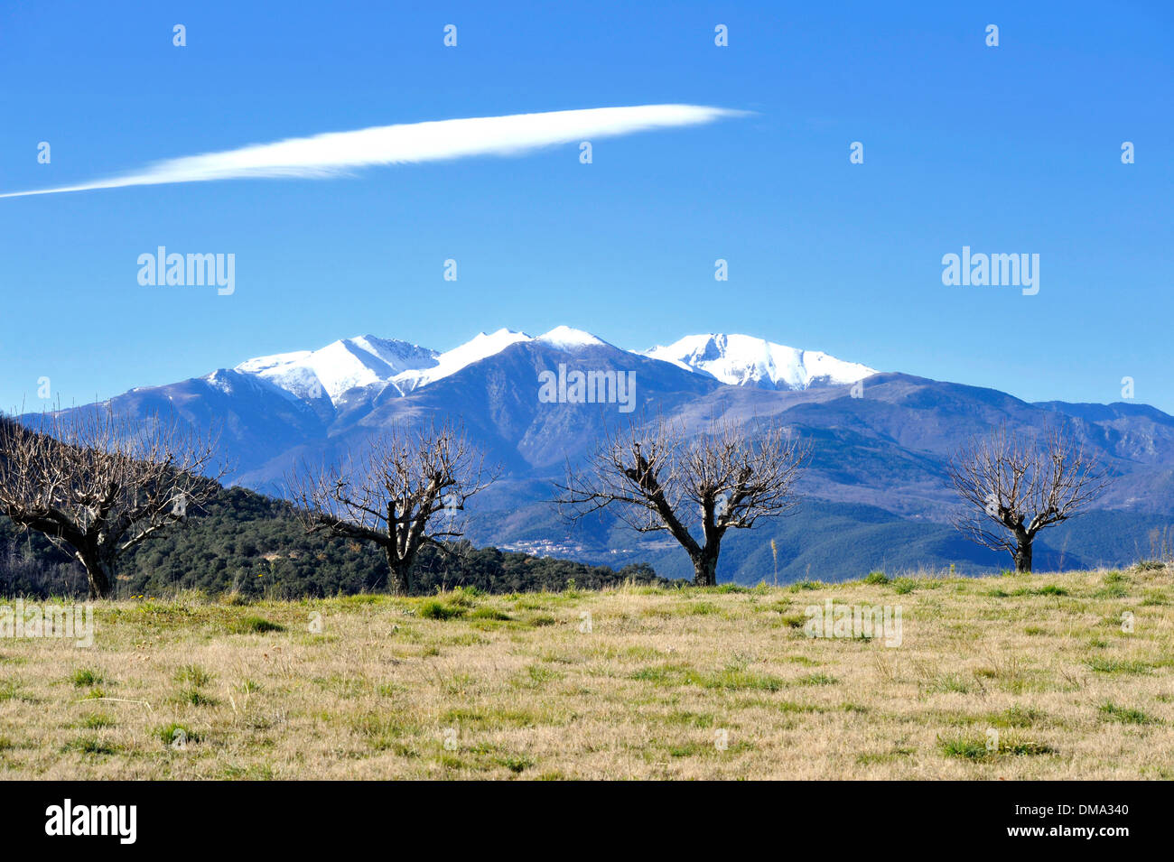 Il Mont Canigou (monte Canigou) nei Pirenei orientali reparto (Pirenei orientali) 2012 Foto Stock