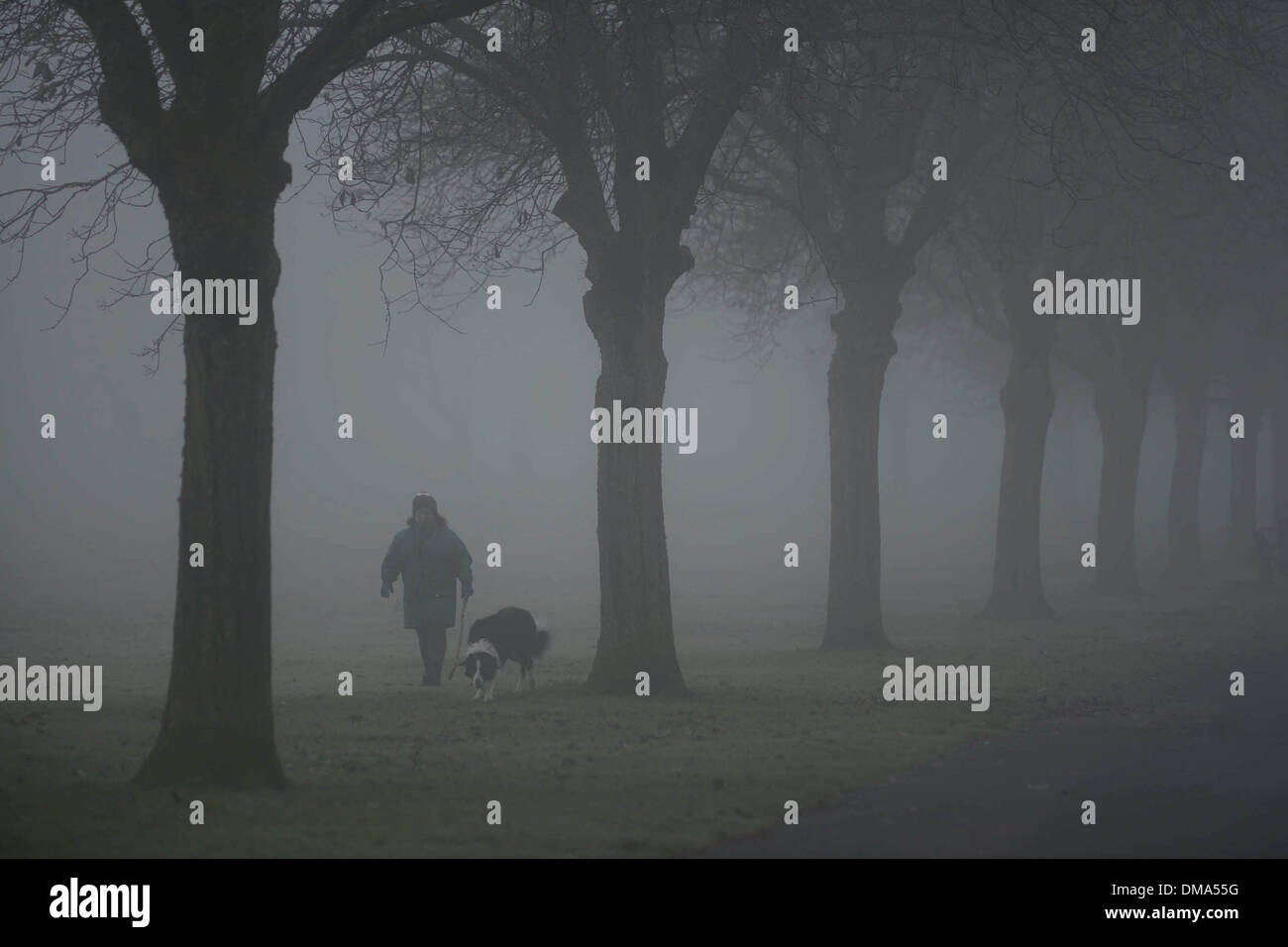 In autunno la nebbia . La gente a piedi i loro cani attraverso Bellahouston Park, Glasgow, Scozia (Nov 25) come heavy nebbia colpisce la città. Foto Stock