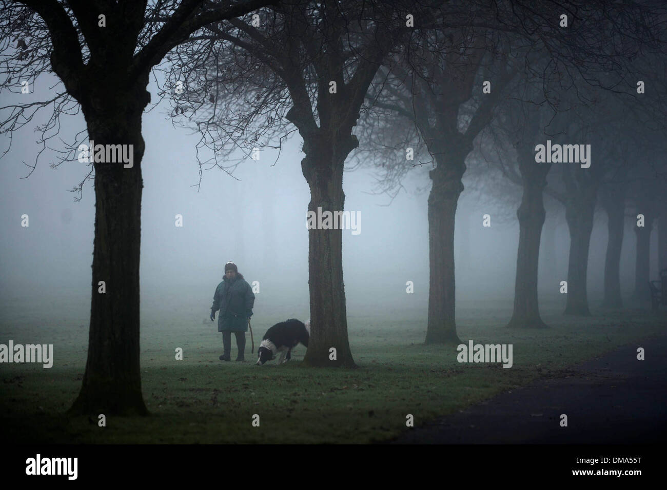 In autunno la nebbia . La gente a piedi i loro cani attraverso Bellahouston Park, Glasgow, Scozia (Nov 25) come heavy nebbia colpisce la città. Foto Stock