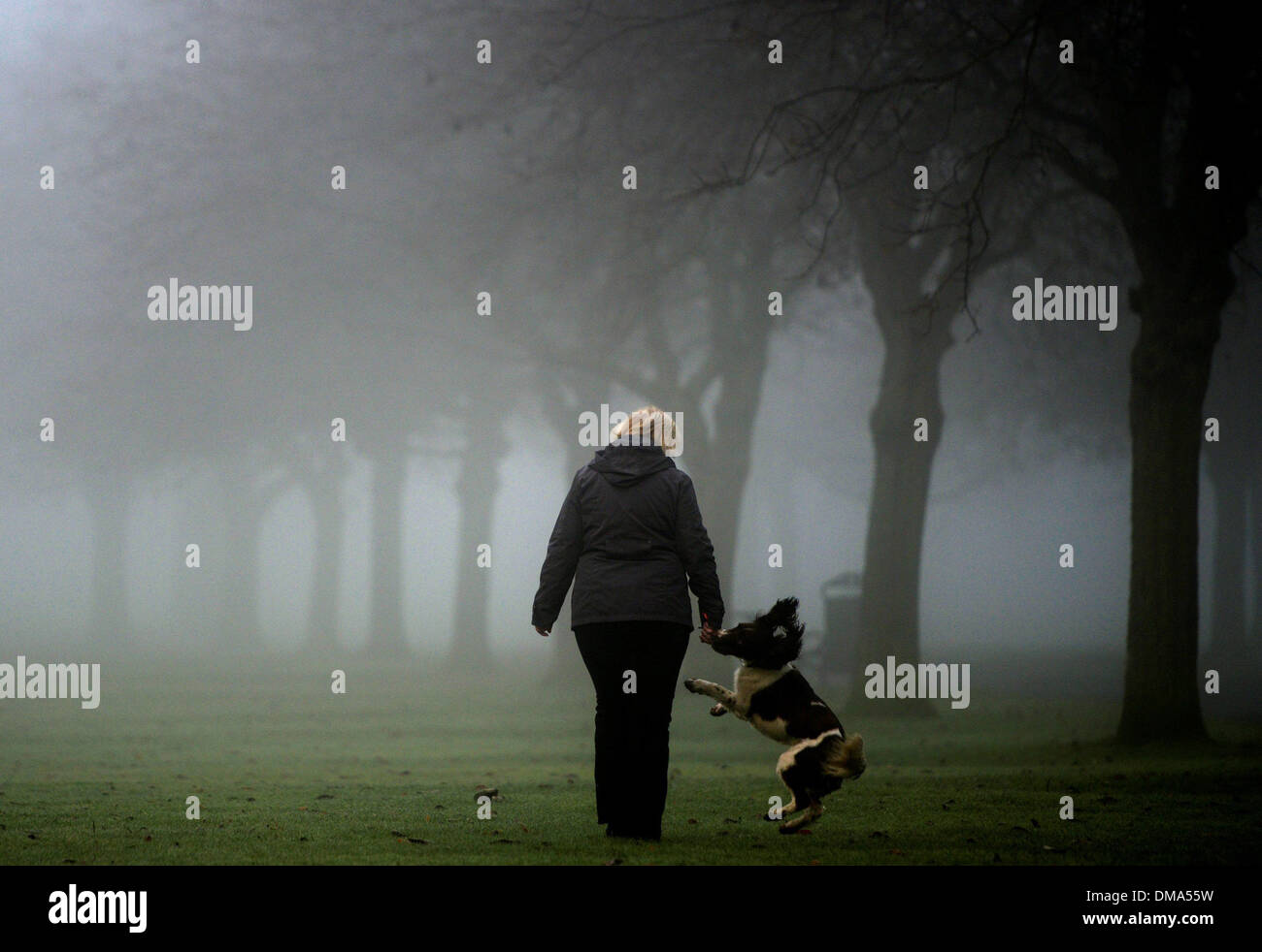 In autunno la nebbia . La gente a piedi i loro cani attraverso Bellahouston Park, Glasgow, Scozia (Nov 25) come heavy nebbia colpisce la città. Foto Stock