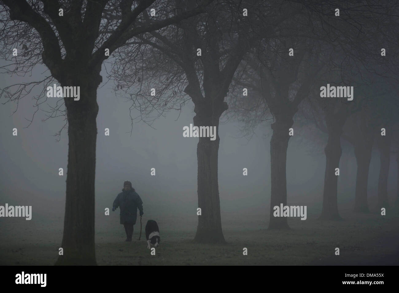 In autunno la nebbia . La gente a piedi i loro cani attraverso Bellahouston Park, Glasgow, Scozia (Nov 25) come heavy nebbia colpisce la città. Foto Stock