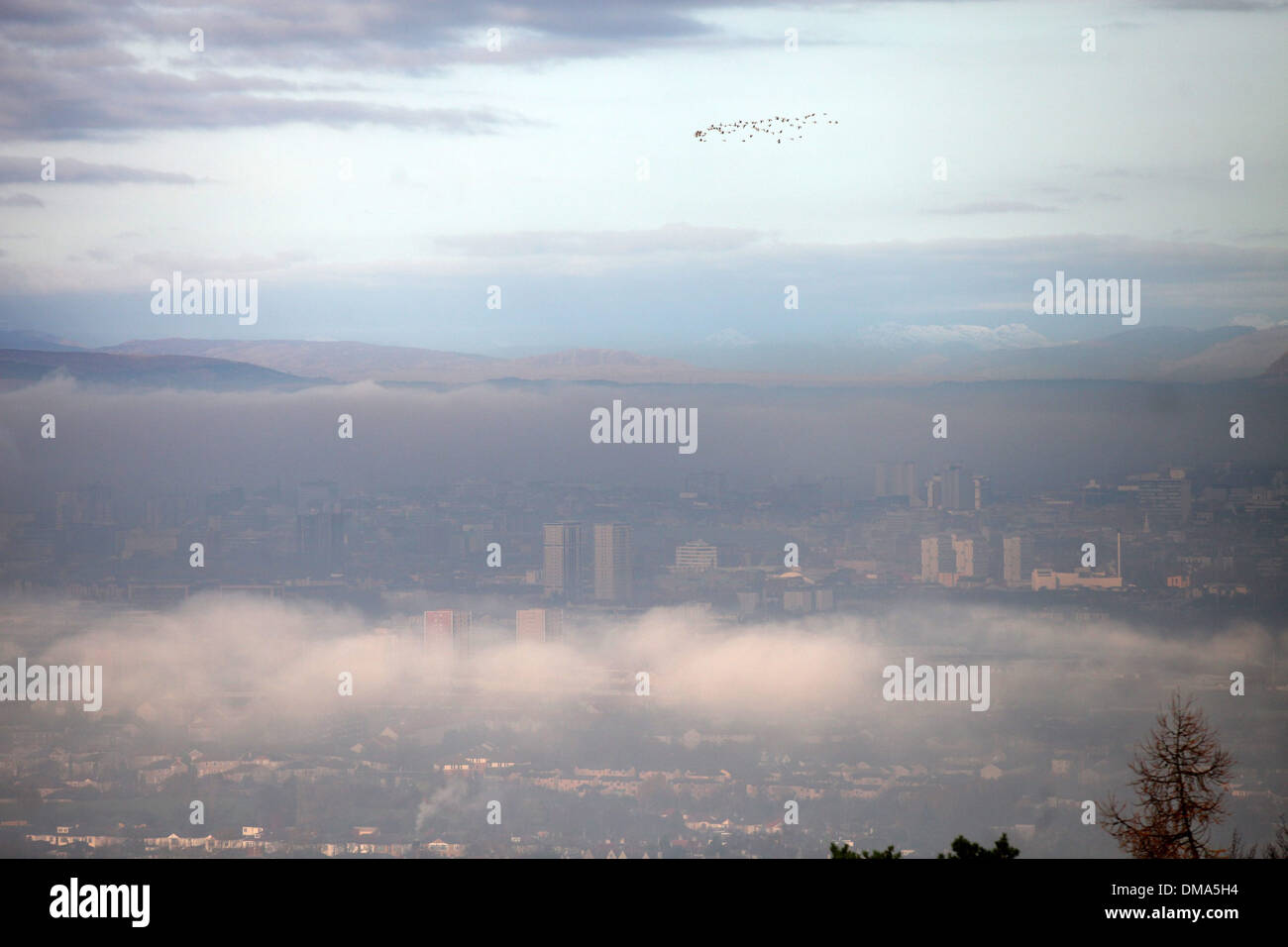 Una vista di Glasgow è avvolta nella nebbia di congelamento da Caithkin Braes sopra la città. Il 25 novembre 2013. Nebbia autunnale meteo. Foto Stock