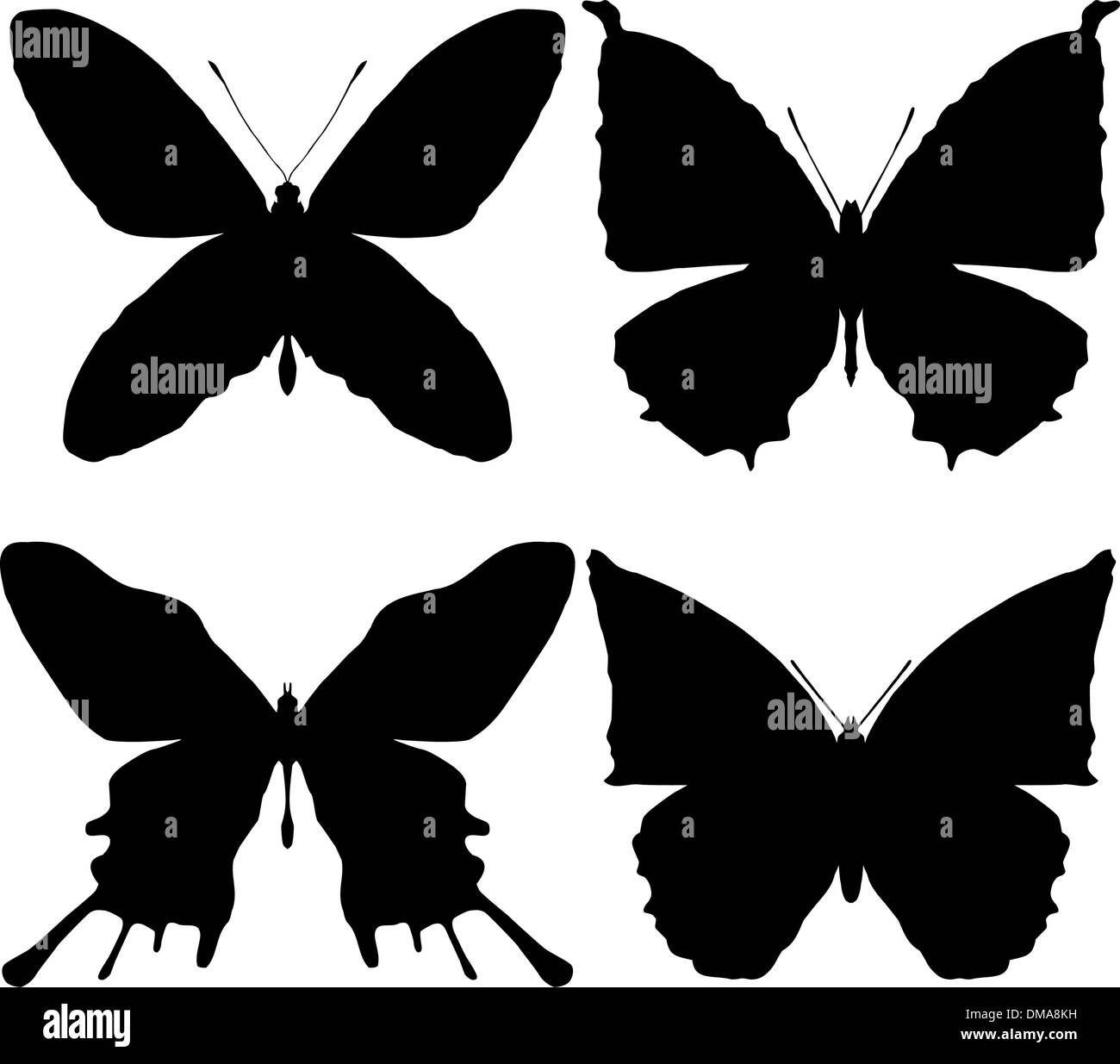 Farfalle sagome Illustrazione Vettoriale