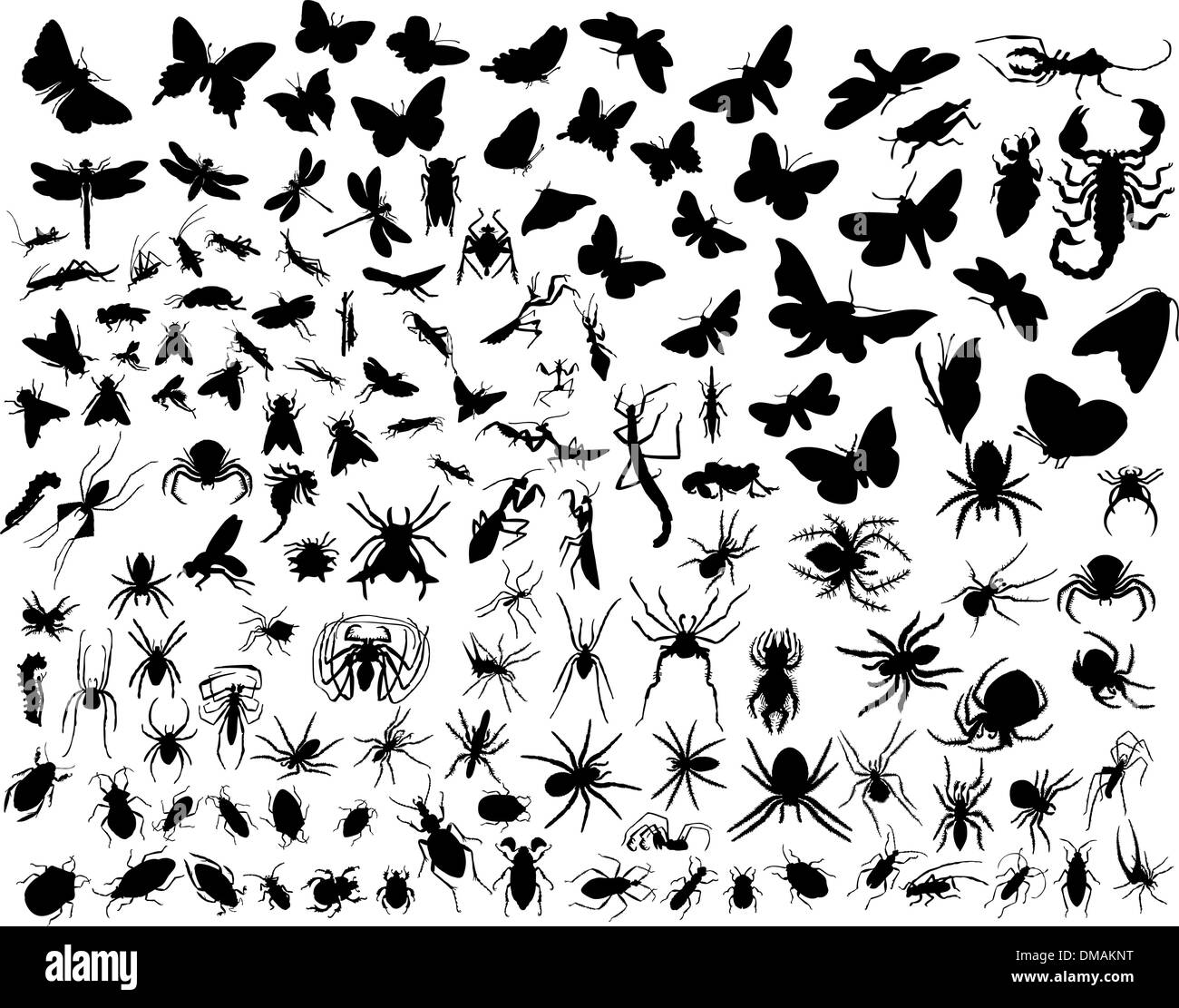 insetti vettori Illustrazione Vettoriale