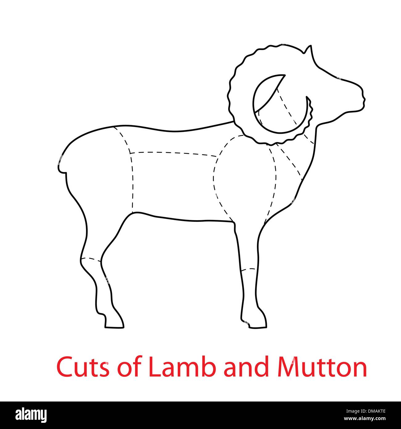 Tagli di agnello-e-carni di montone Illustrazione Vettoriale
