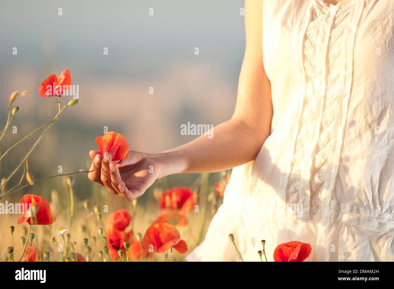Giovane donna in piedi in un cornfield con papaveri Foto Stock