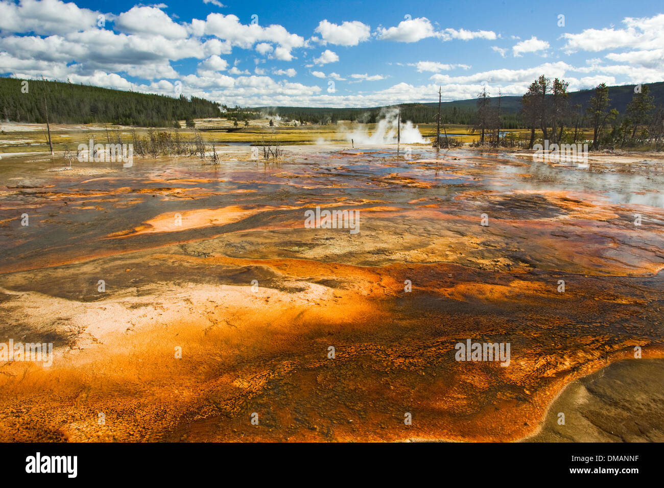 Biscuit Basin Parco Nazionale di Yellowstone Wyoming. USA LA006734 Foto Stock