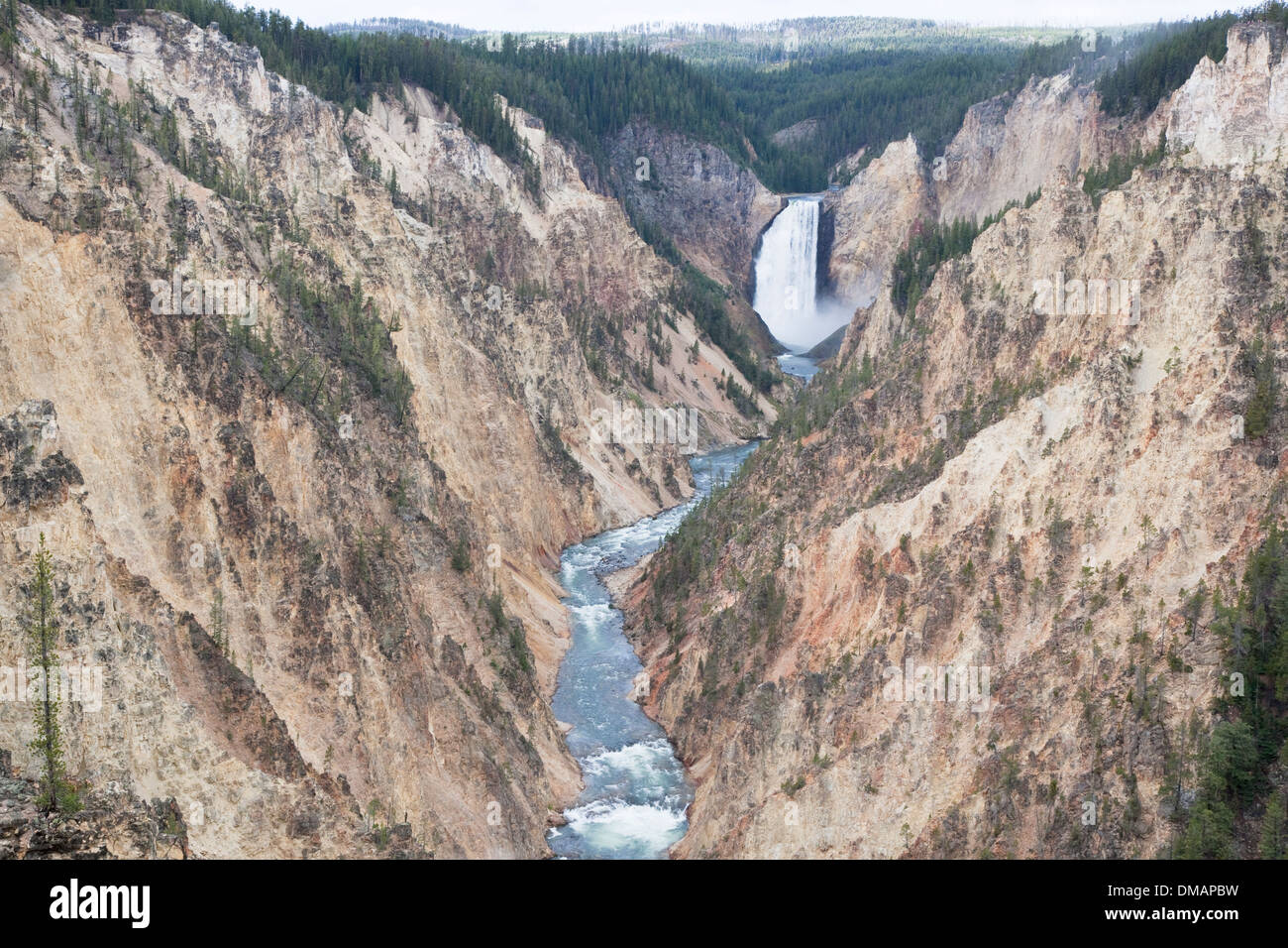 Le cascate Inferiori Canyon di Yellowstone Parco Nazionale di Yellowstone Wyoming. USA LA006754 Foto Stock