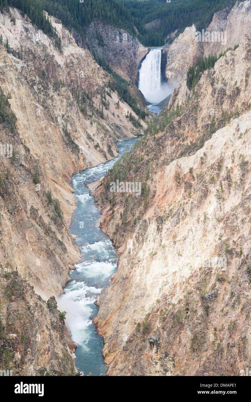 Le cascate Inferiori Canyon di Yellowstone Parco Nazionale di Yellowstone Wyoming. USA LA006755 Foto Stock