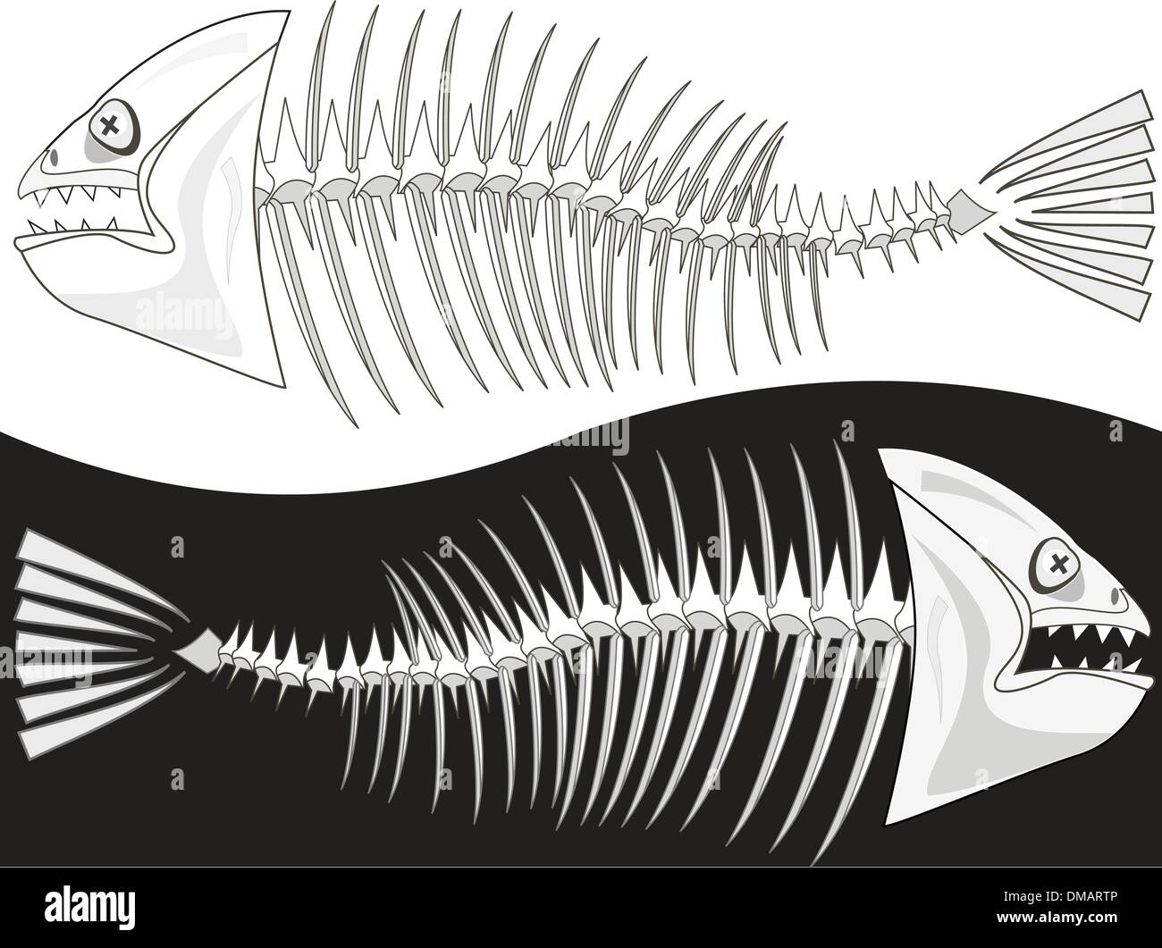 Le ossa di uno scheletro di pesce Immagine e Vettoriale - Alamy