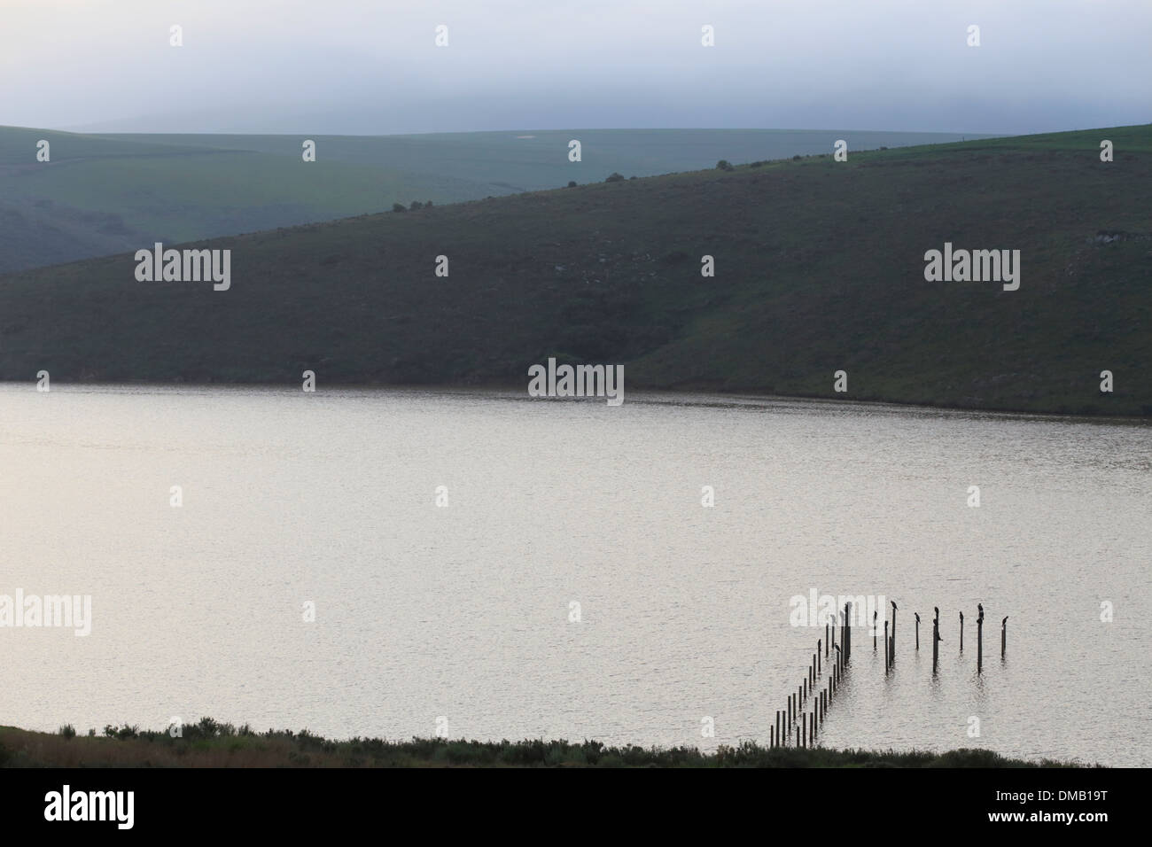 Vista di una diga di fattoria nel crepuscolo Foto Stock