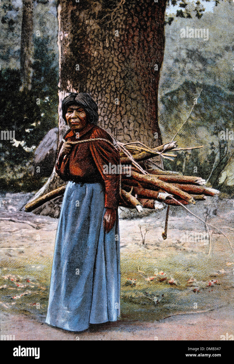 Anziani Yosemite Native American donna Indiana che trasportano i registri, Yosemite Valley, California, USA, 1910 Foto Stock