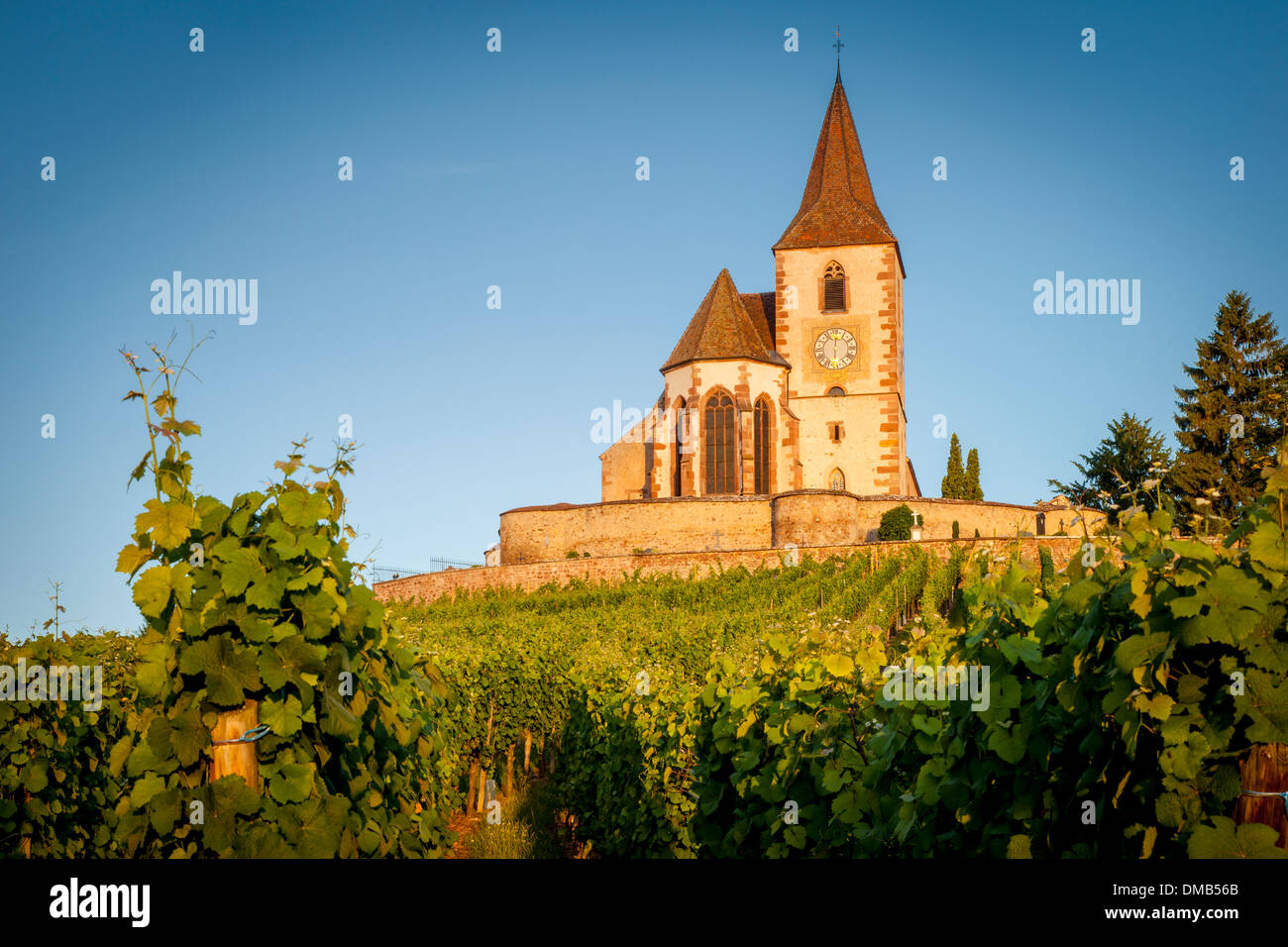 Alba presso la quattrocentesca chiesa di San Jacques circondato dai vigneti del Grand Cru in Hunawihr, Alsace Francia Foto Stock