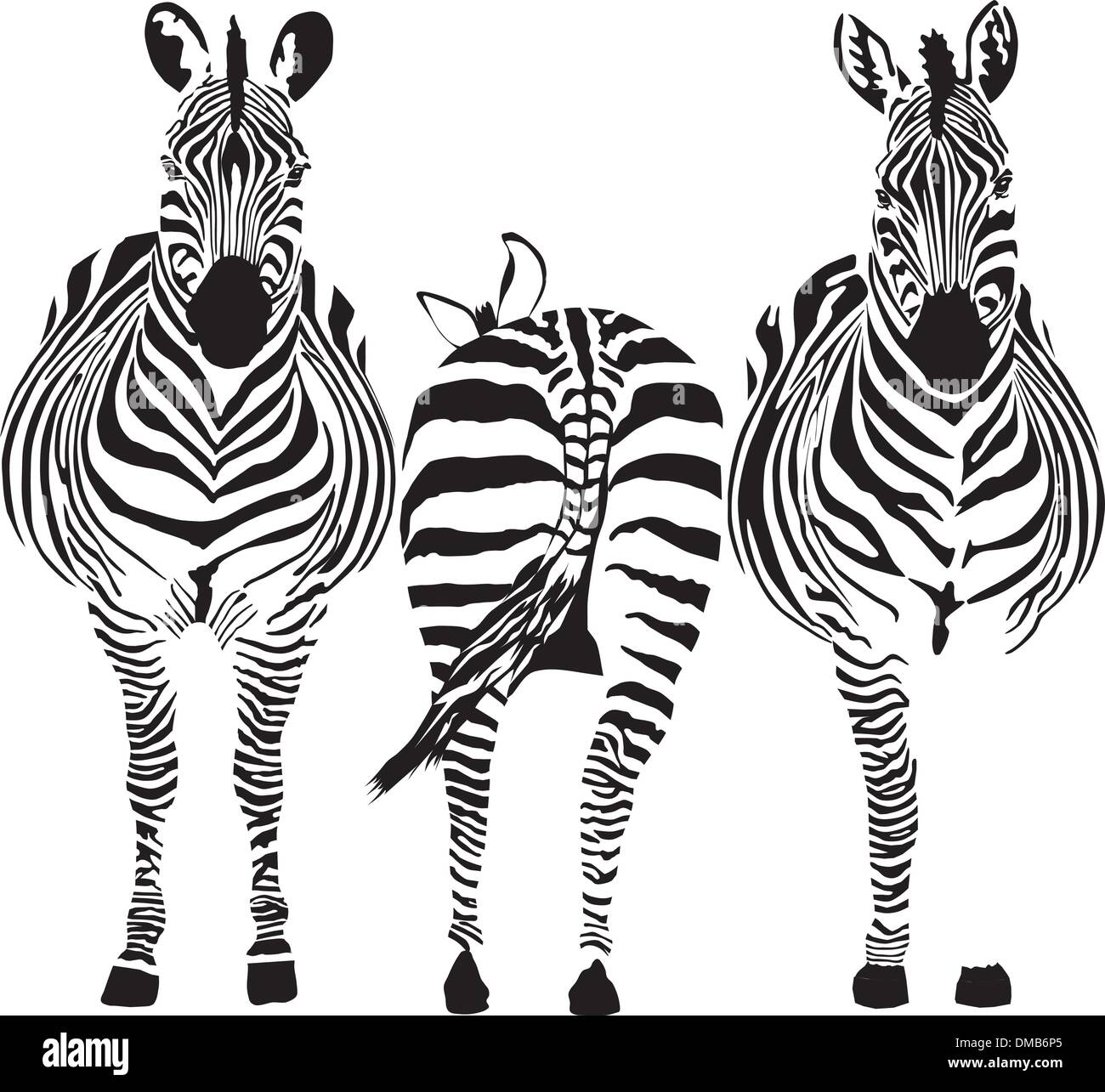 Zebre Illustrazione Vettoriale