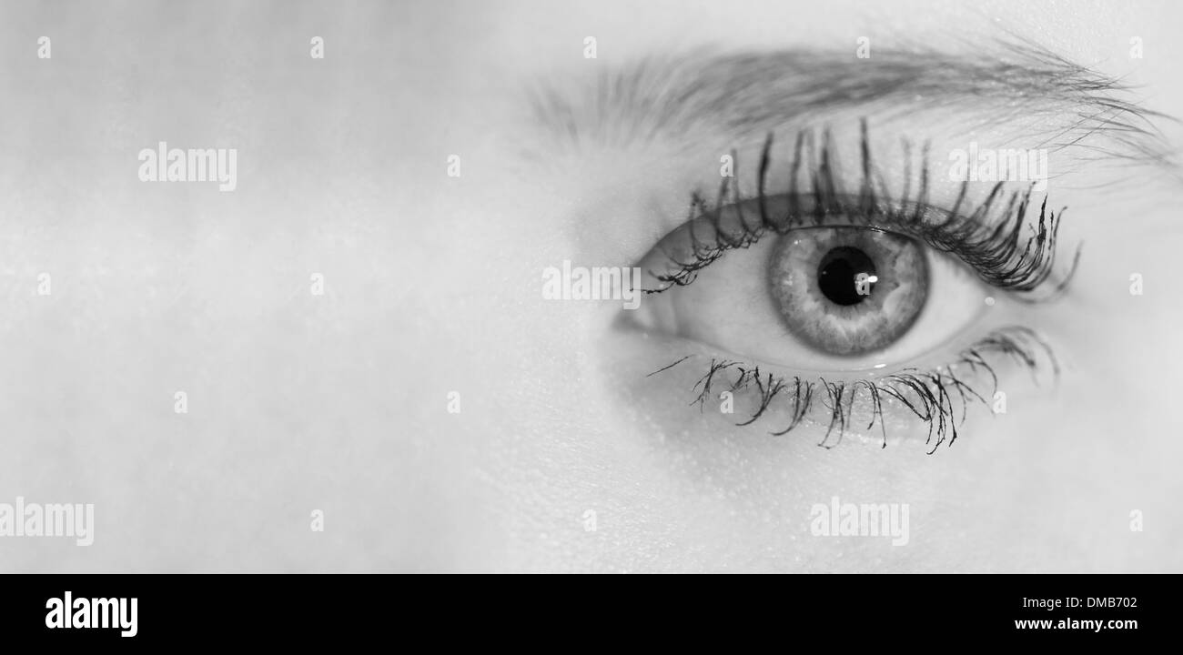 Close up di un occhio umano Foto Stock