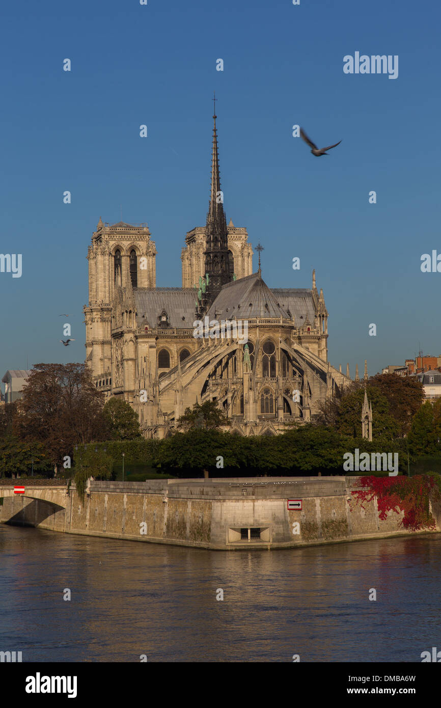 Cattedrale di Notre-dame de Paris è situato sulla Ile de la Cite NEL CENTRO STORICO DI PARIGI, è il più visitato sito IN FRANCIA, 4TH ARRONDISSEMENT DI PARIGI (75), Francia Foto Stock