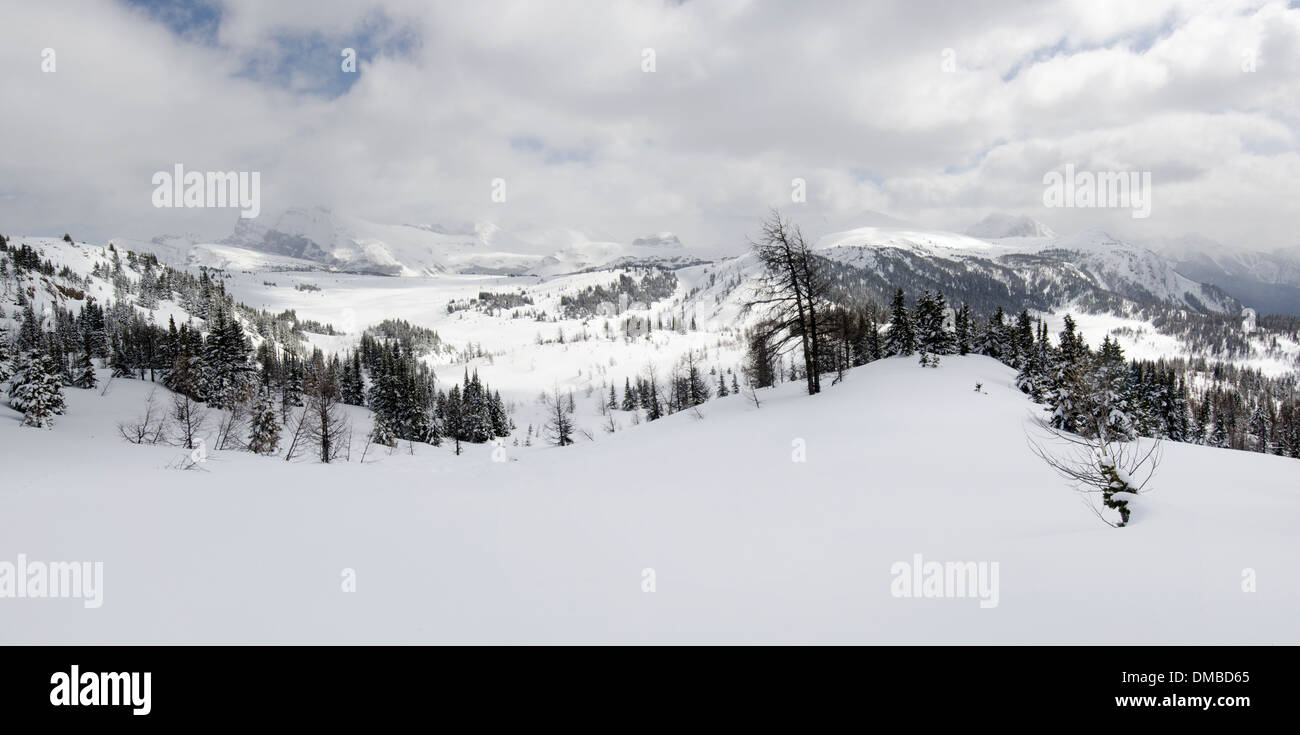 Un panorama invernale della vastità al di là di Sunshine Village nelle Montagne Rocciose Canadesi shot mentre su racchette da neve trek. Foto Stock
