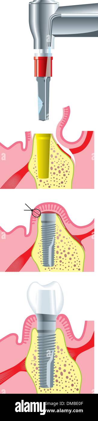 Studio dentistico Illustrazione Vettoriale