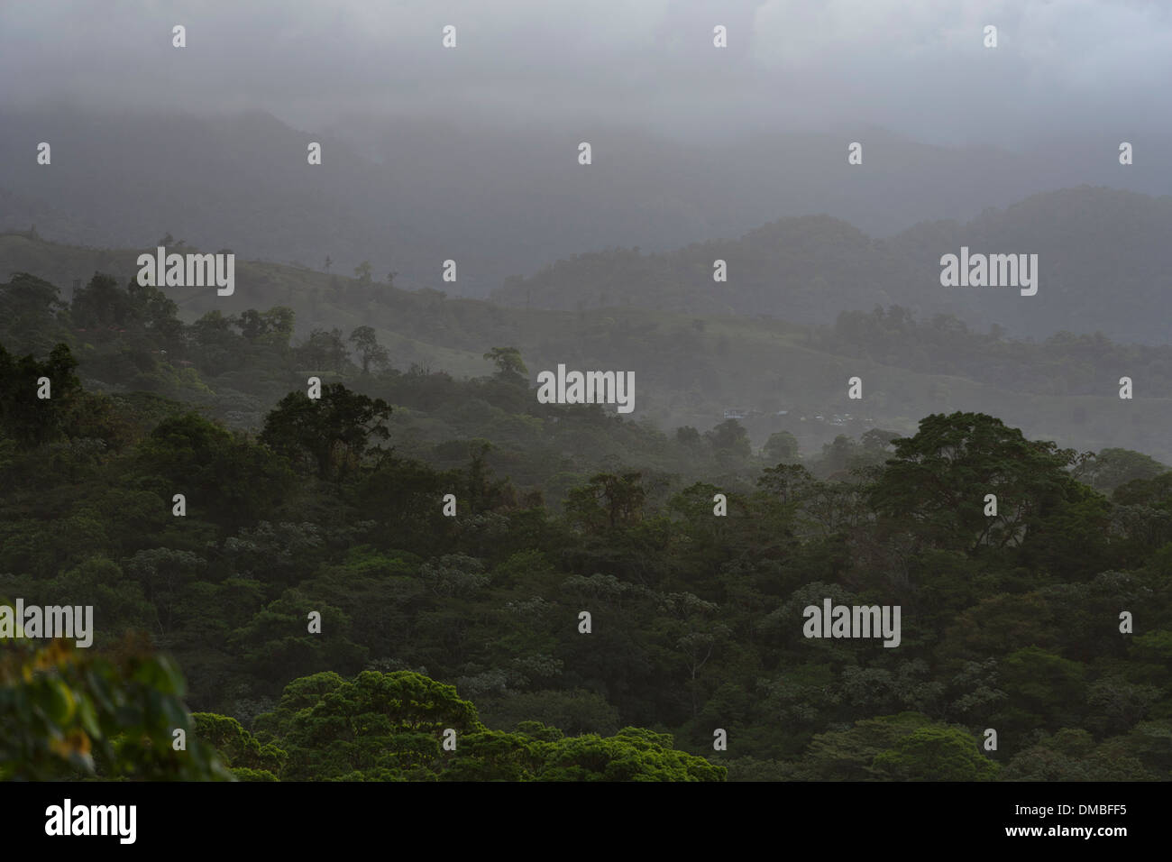 La pioggia caduta in una Costa Rican rain forest vicino al Lago di Arenal. Foto Stock