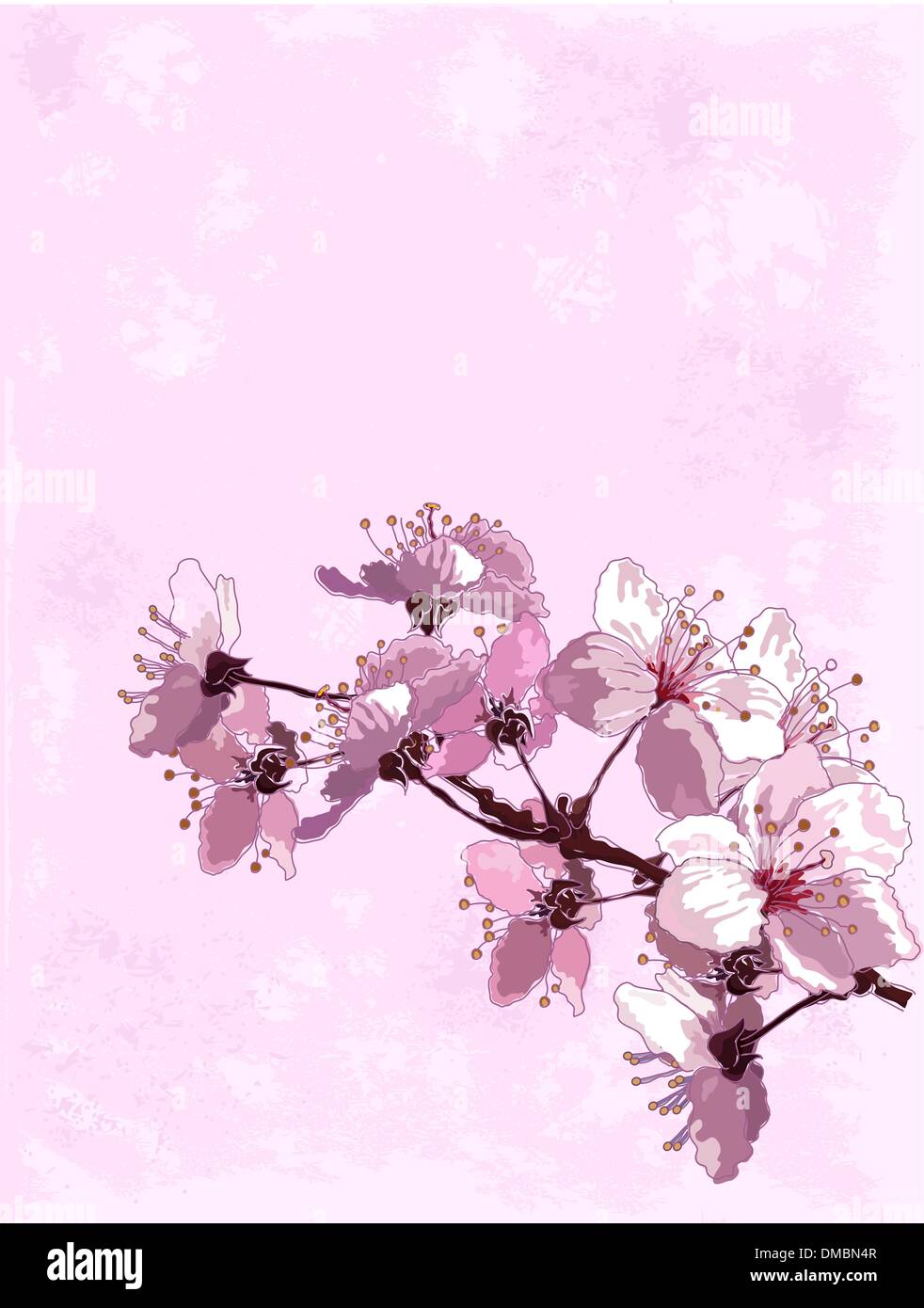 Fiore di Ciliegio sfondo Illustrazione Vettoriale