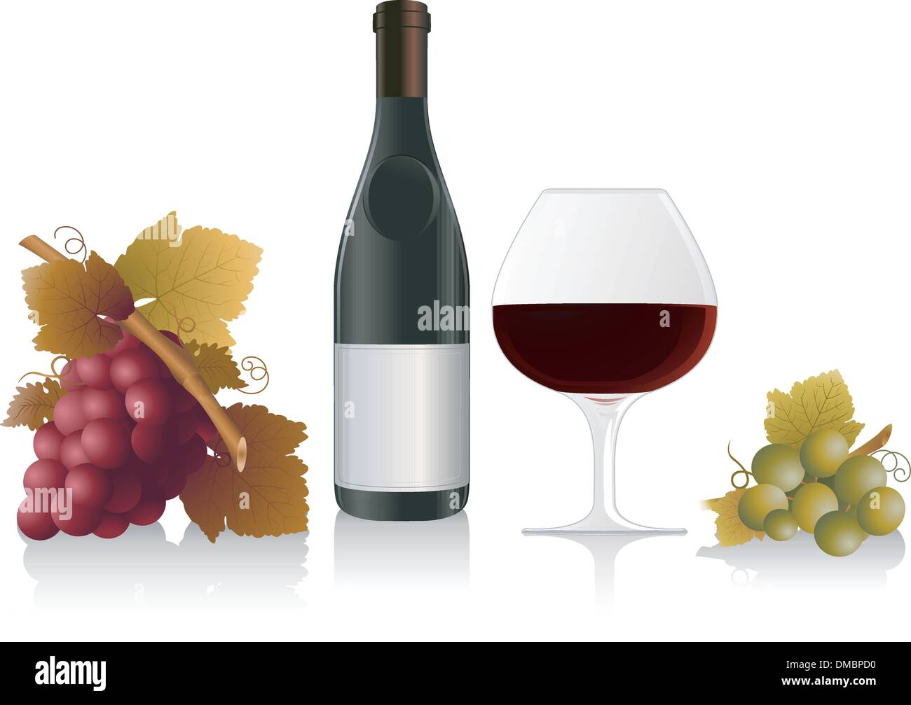 Elementi del vino Illustrazione Vettoriale