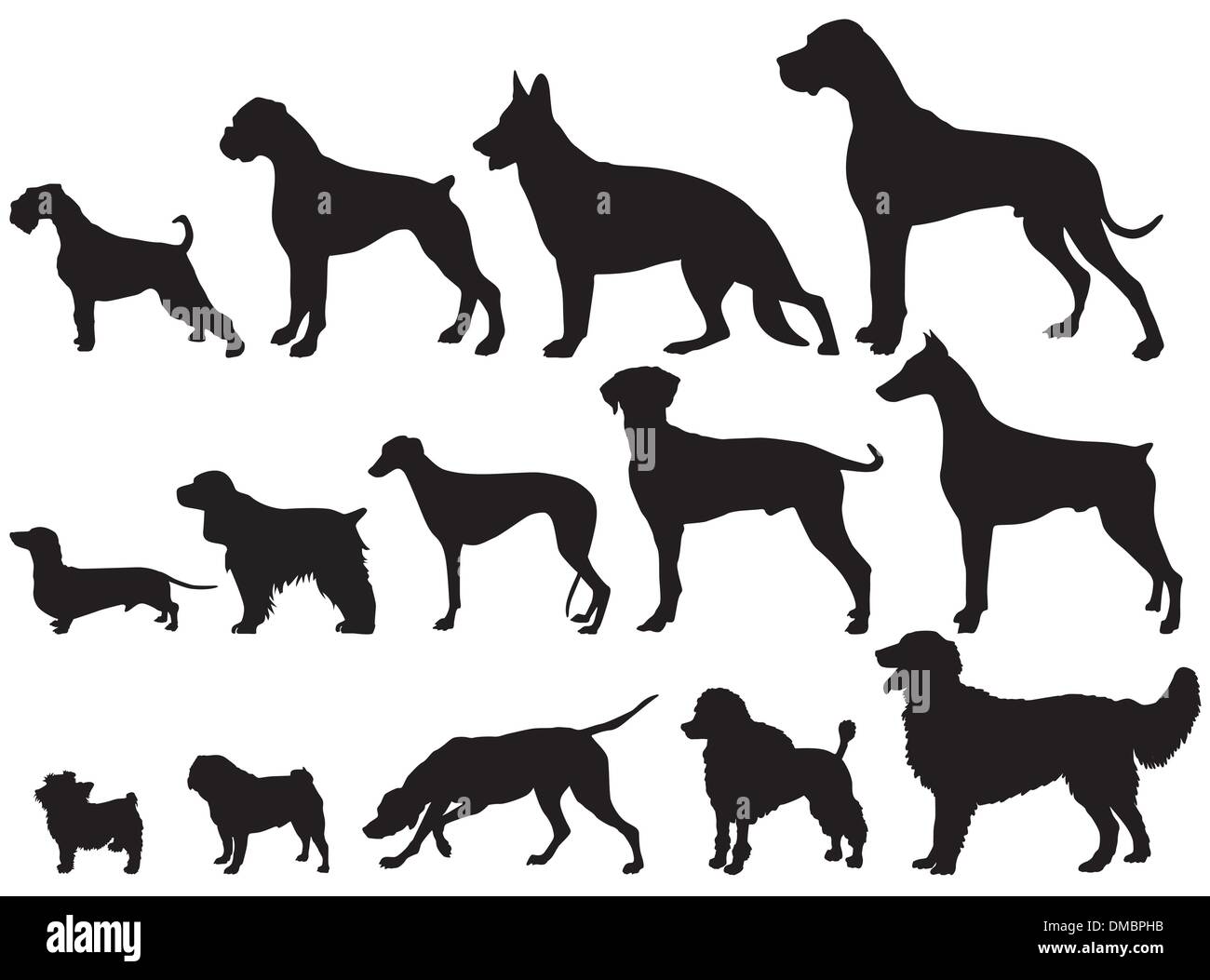 Cani e razze di cani Illustrazione Vettoriale