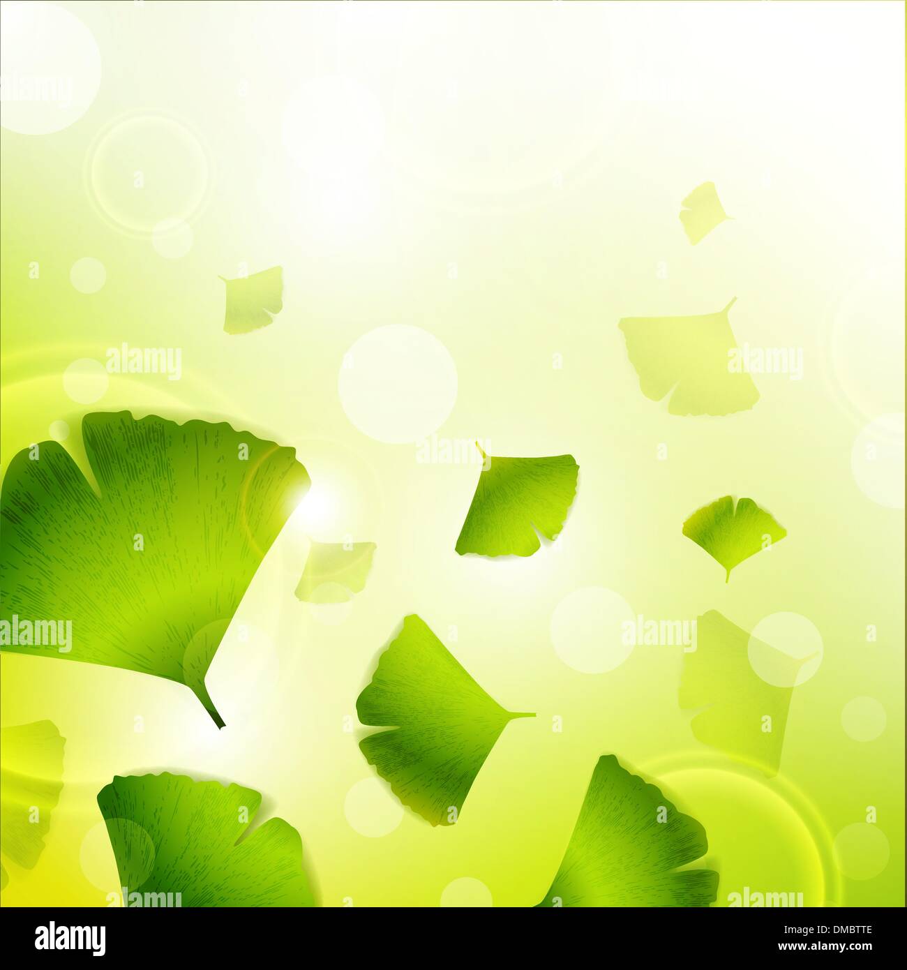 Foglie di Ginkgo Biloba sfondo Illustrazione Vettoriale