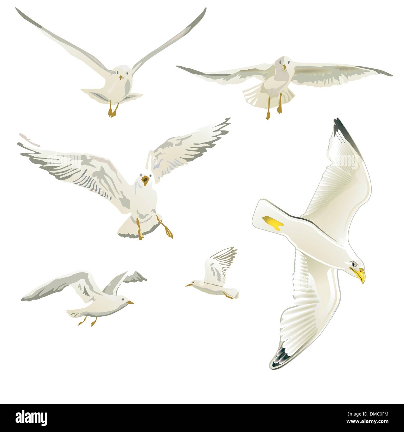 Gabbiani Illustrazione Vettoriale