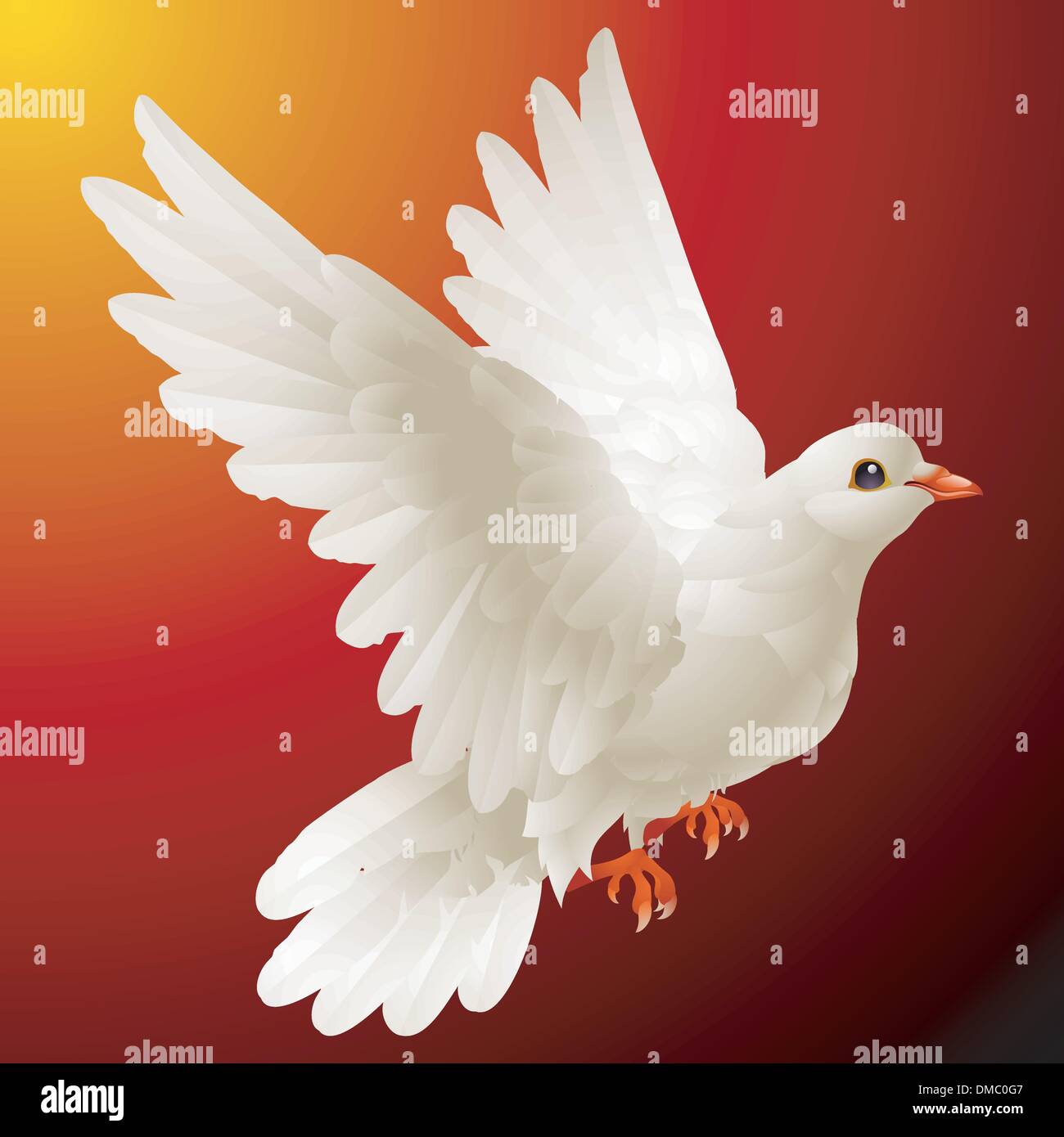 Vettore colomba bianca Illustrazione Vettoriale