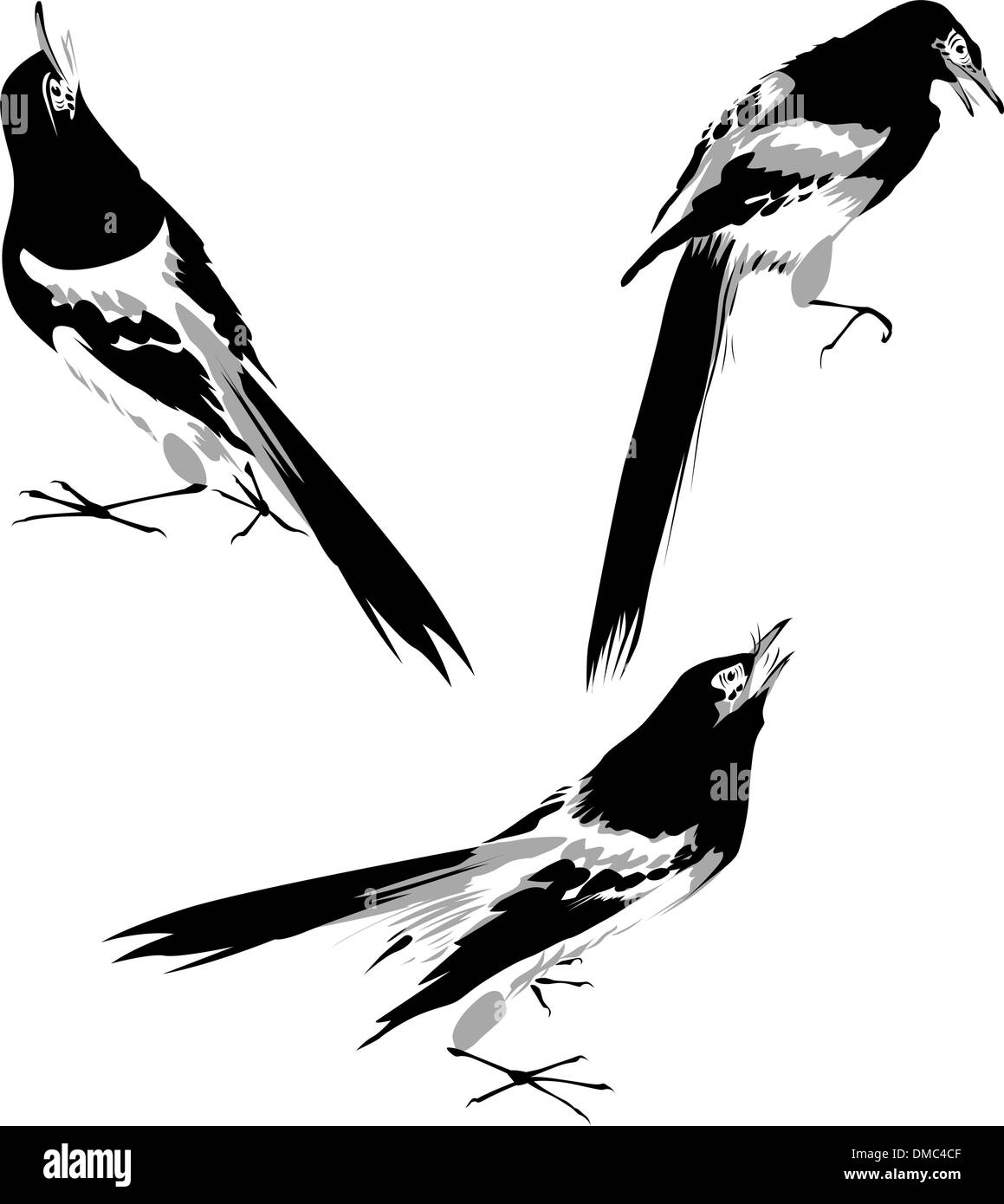 Illustrazione di uccelli Illustrazione Vettoriale