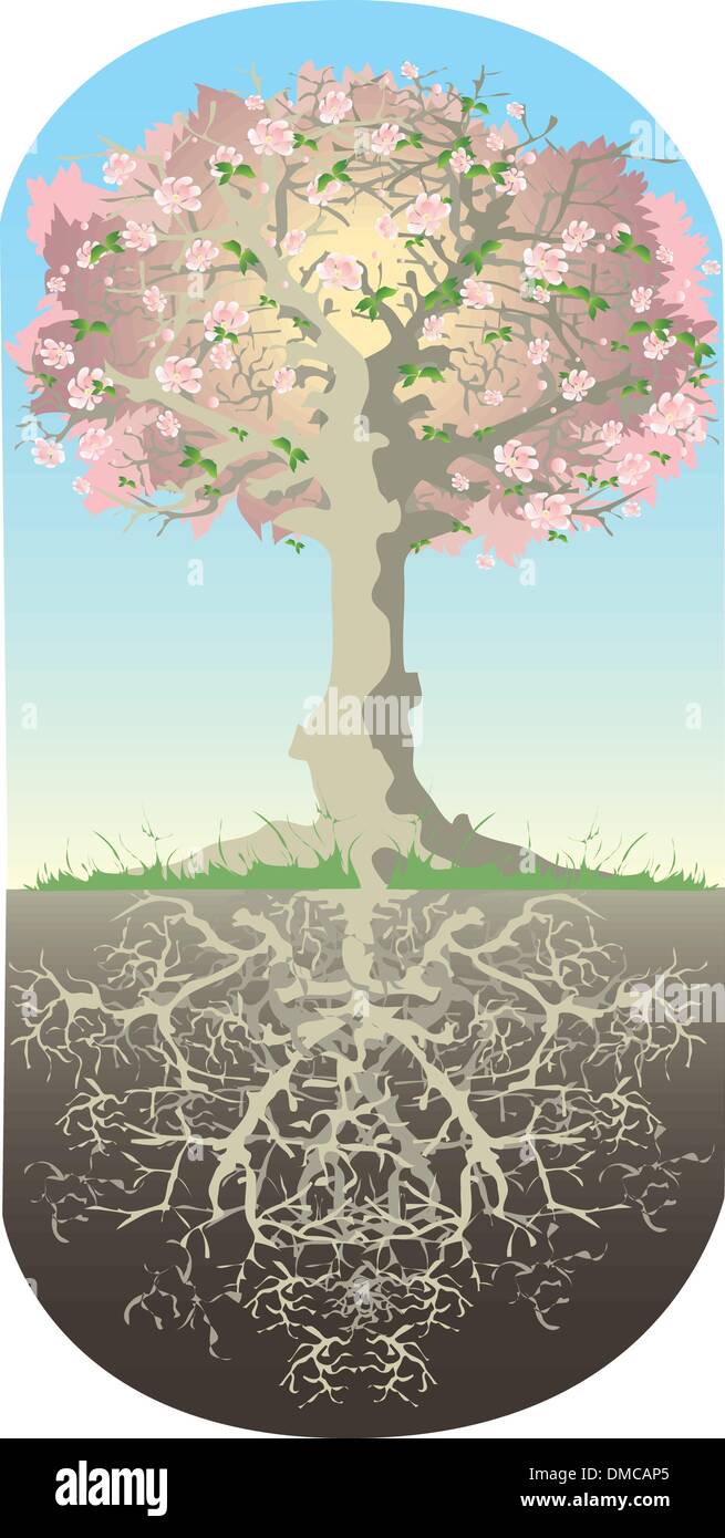 Albero e le sue radici Illustrazione Vettoriale