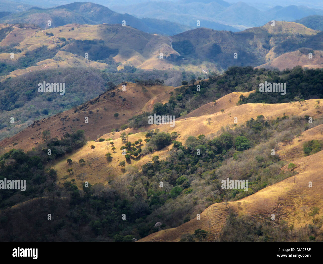 Il rotolamento dei terreni agricoli e a pascolo in Costa Rica vicino a San Jose, la capitale. Foto Stock