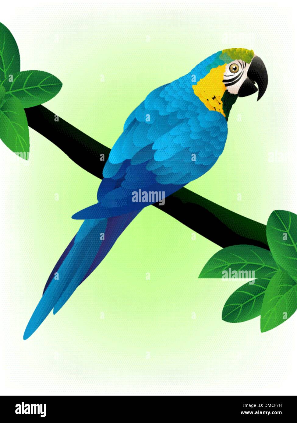 Macaw blu Illustrazione Vettoriale