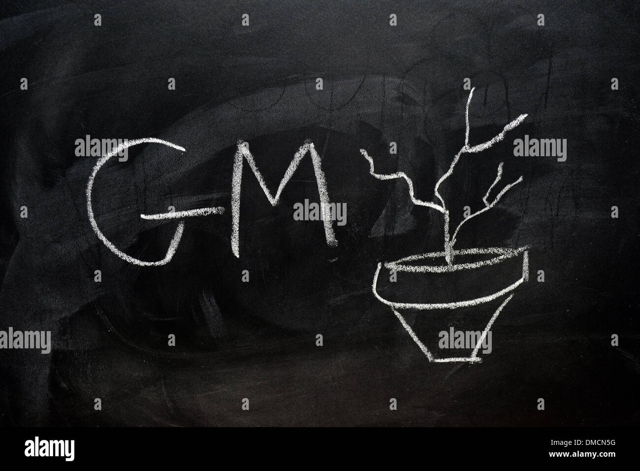 GM e una pianta morta disegnata su una lavagna a fogli mobili in bianco gesso. Foto Stock