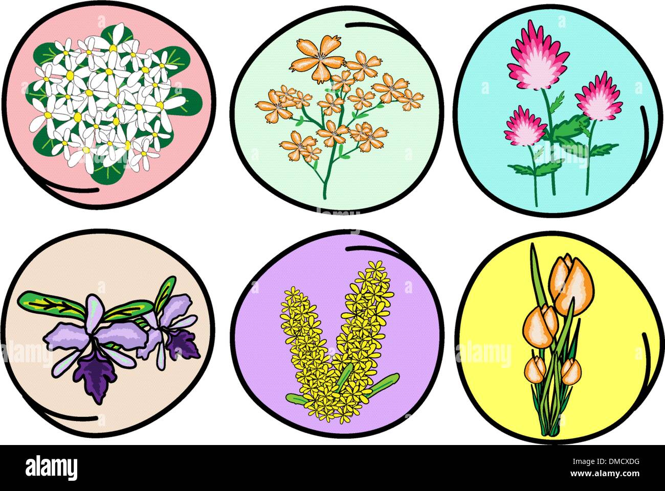 Una illustrazione Set di fiore e orchidee Illustrazione Vettoriale