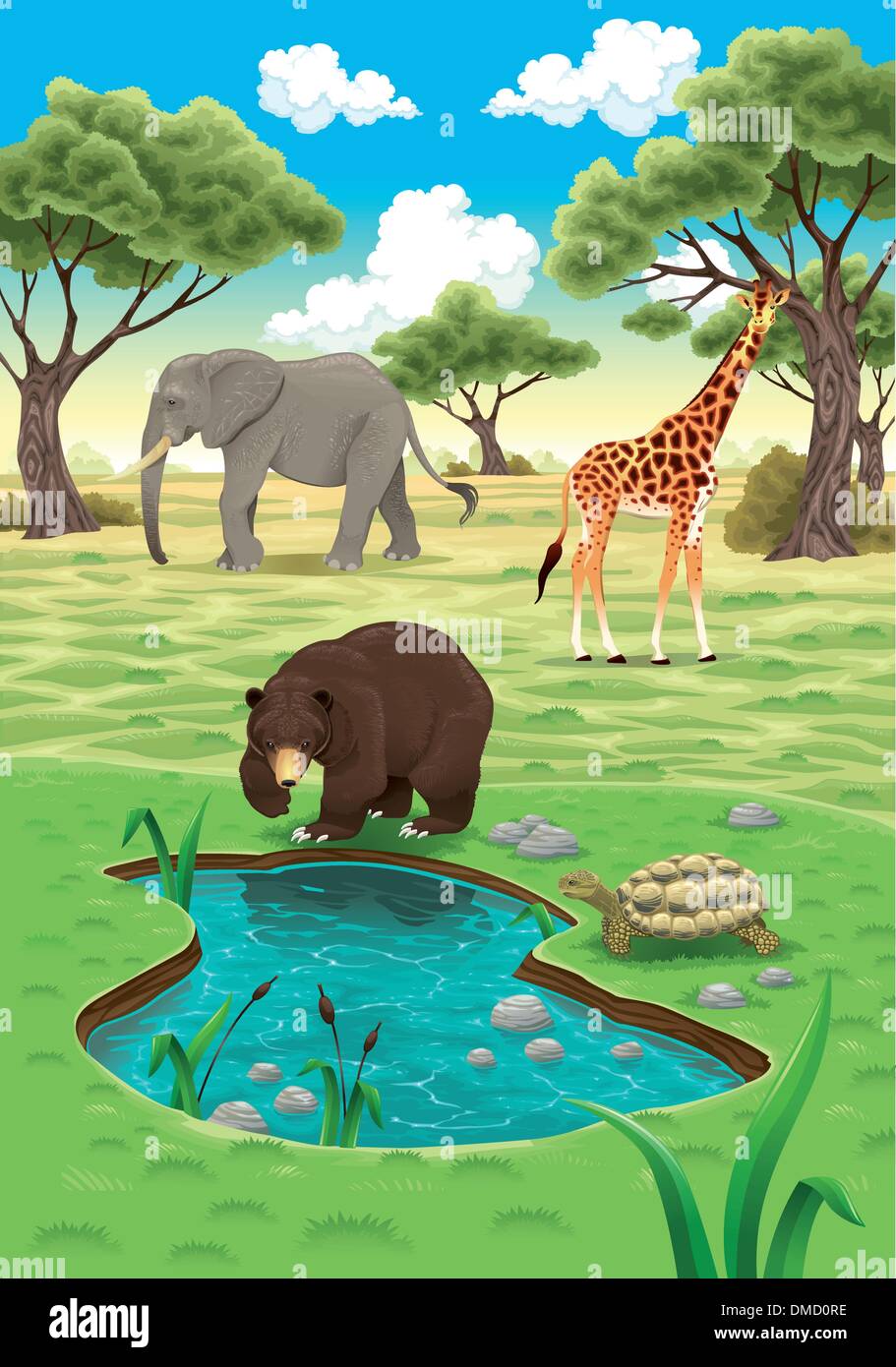Gli animali nella natura Illustrazione Vettoriale