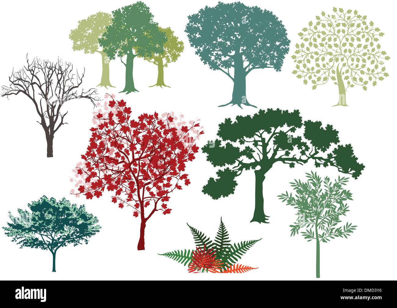 Set di alberi decidui Illustrazione Vettoriale