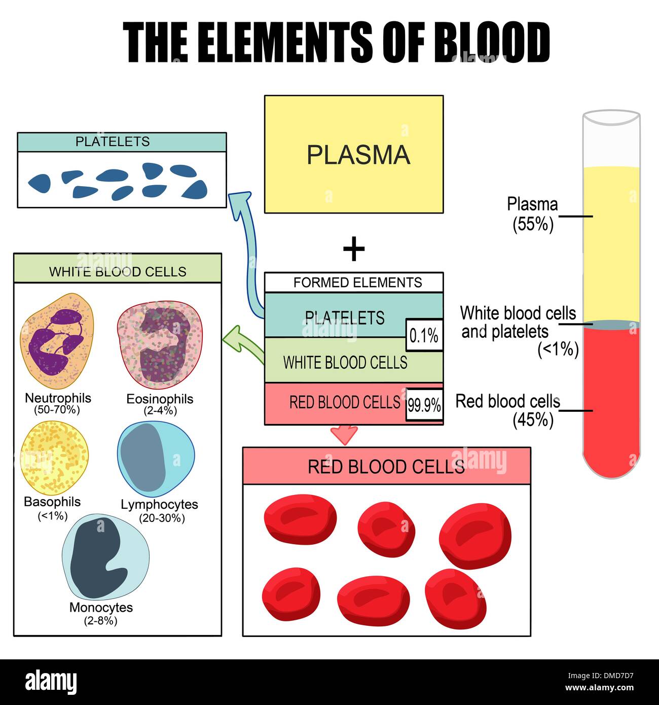 Gli elementi del sangue Illustrazione Vettoriale