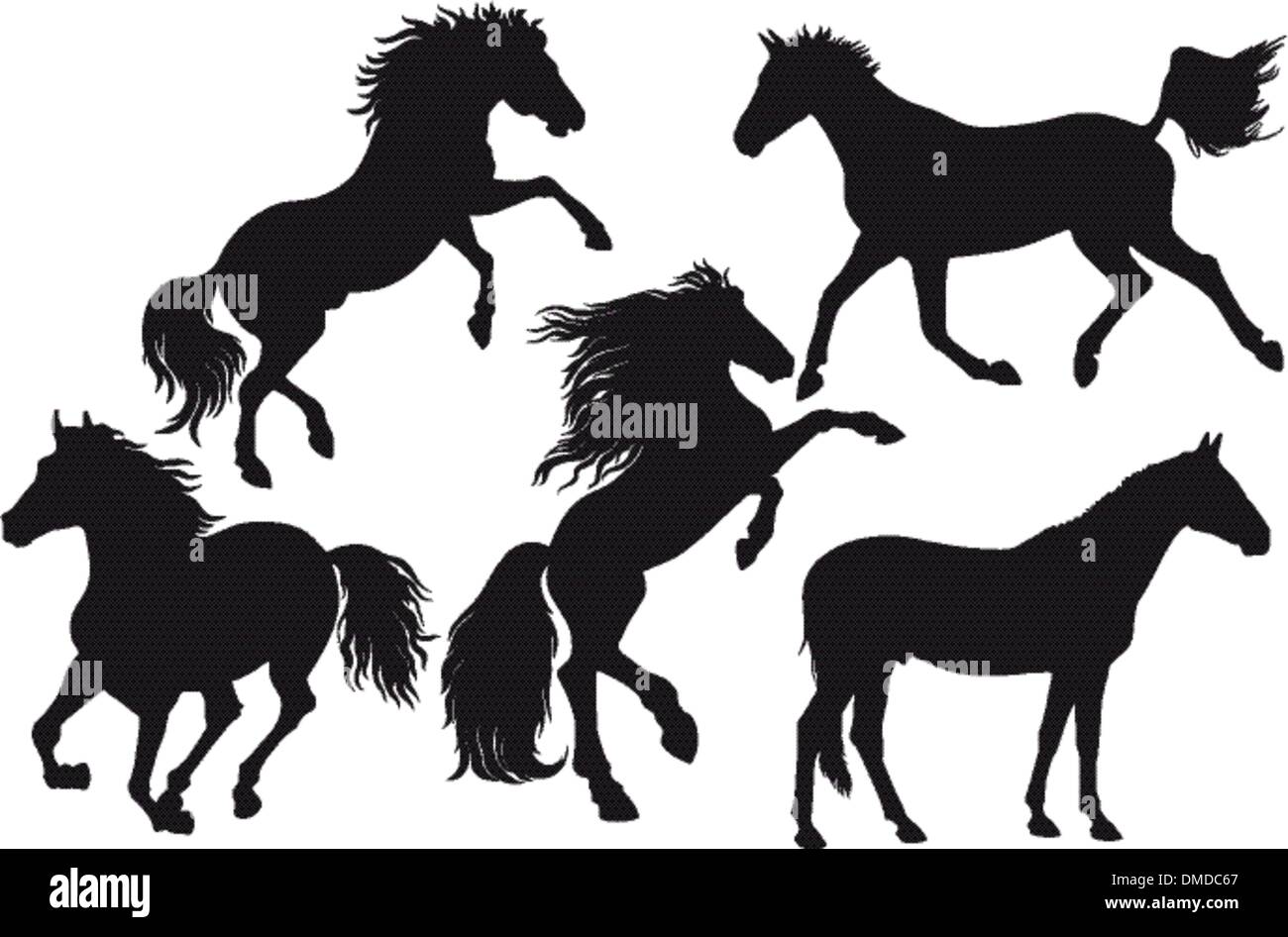 cavalli Illustrazione Vettoriale