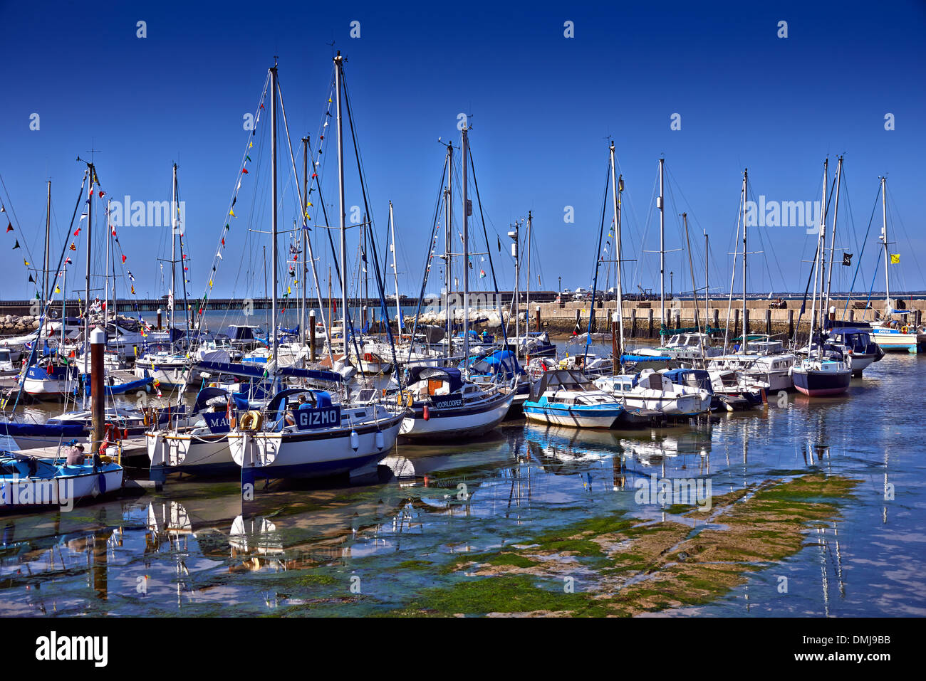 L'Isola di Wight noto agli antichi romani come Vectis, è un County e la più grande isola dell'Inghilterra Foto Stock