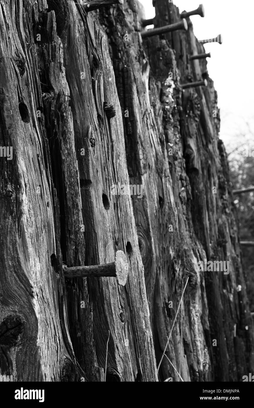 Chiatte distrutto nei pressi del villaggio di Purton Gloucestershire, sulle rive del fiume Severn Foto Stock