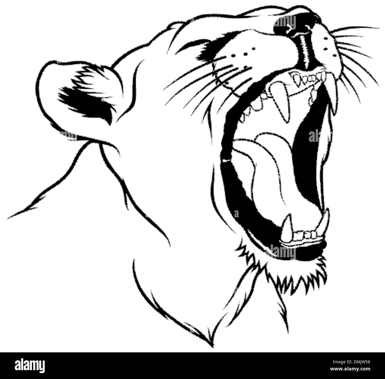 Testa di Leonessa Illustrazione Vettoriale