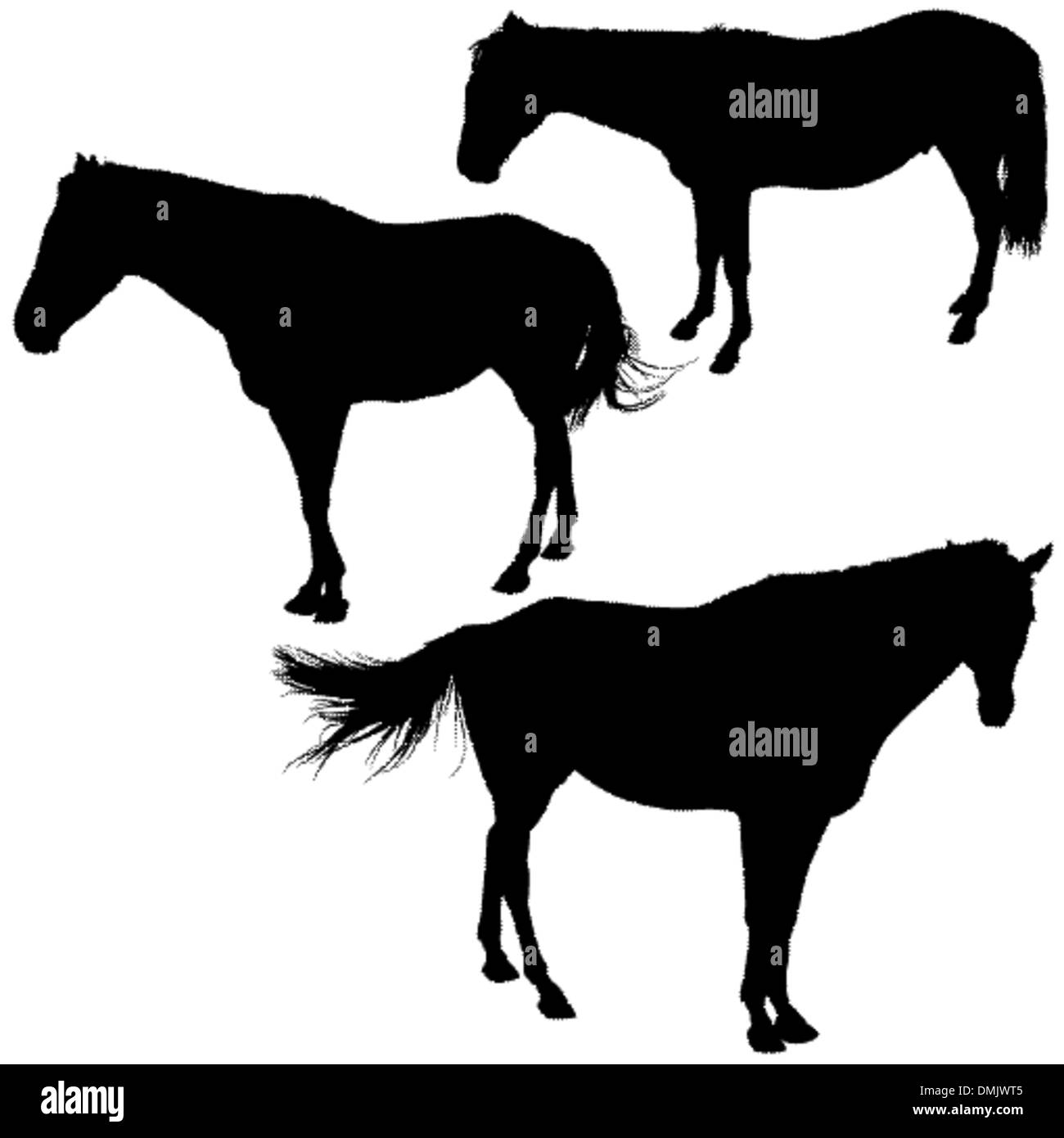 Cavalli Collezione Silhouette Illustrazione Vettoriale