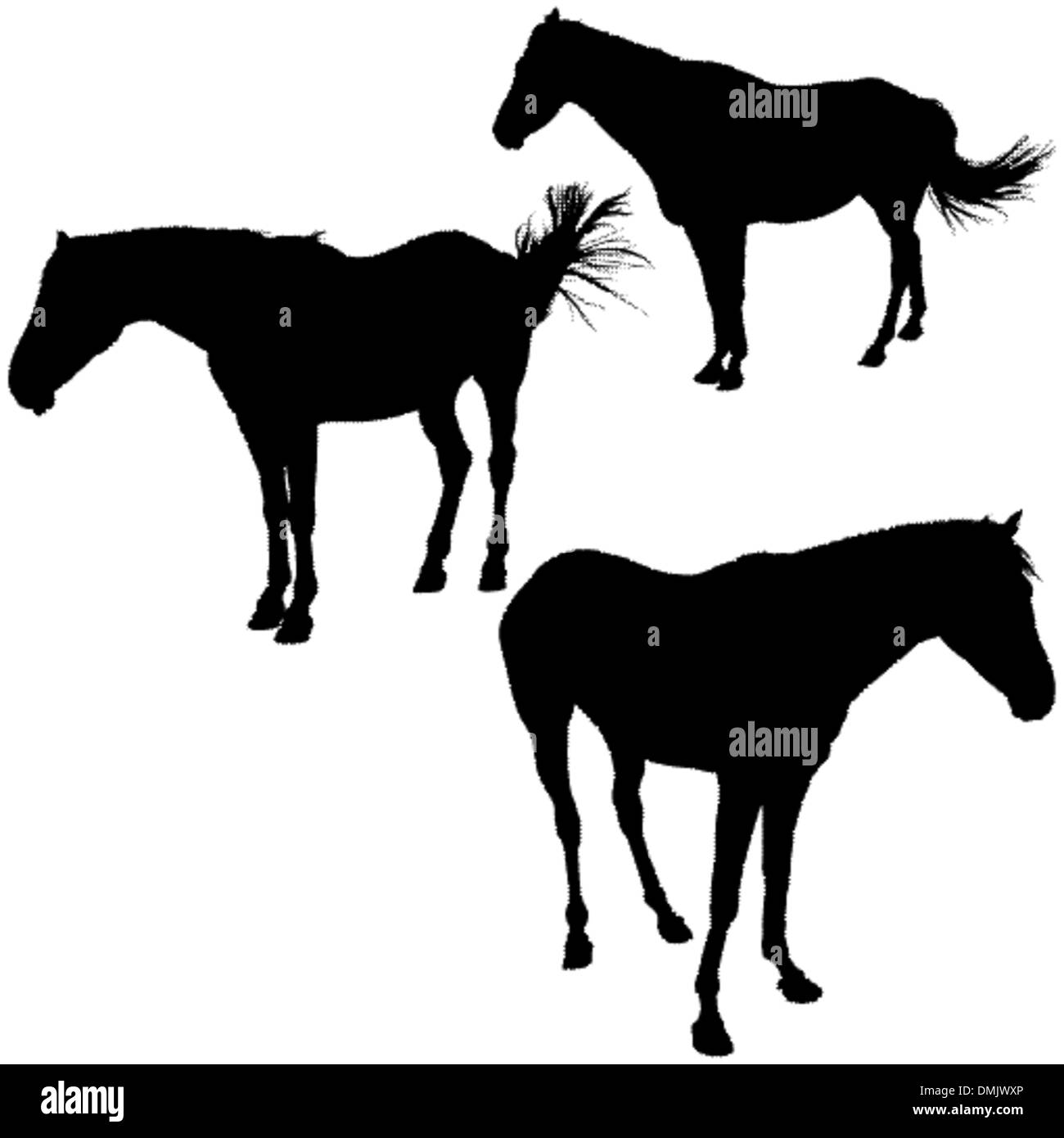 Cavalli Collezione Silhouette Illustrazione Vettoriale