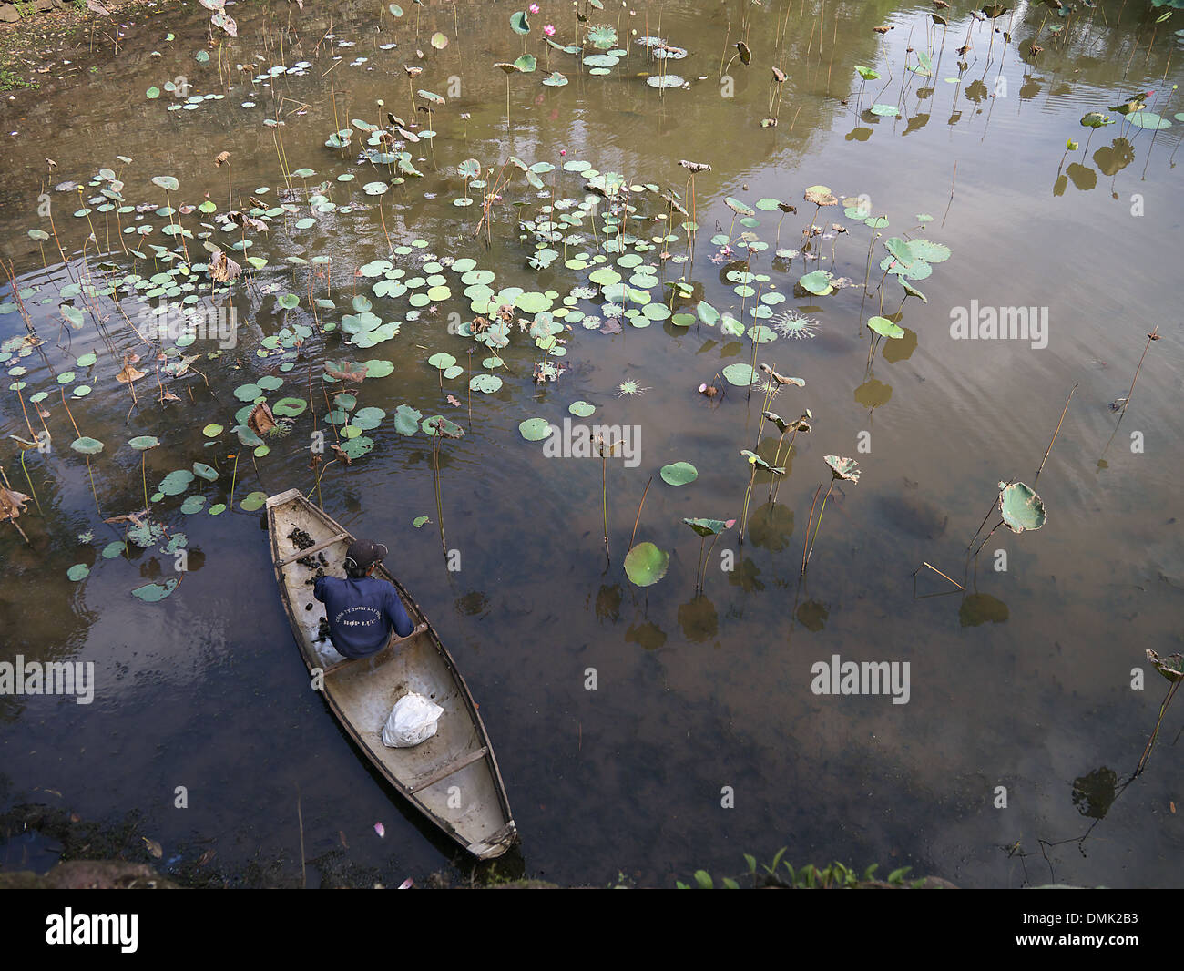 Uomo vietnamita pesca gigante per lumache di acqua nel lago Foto Stock