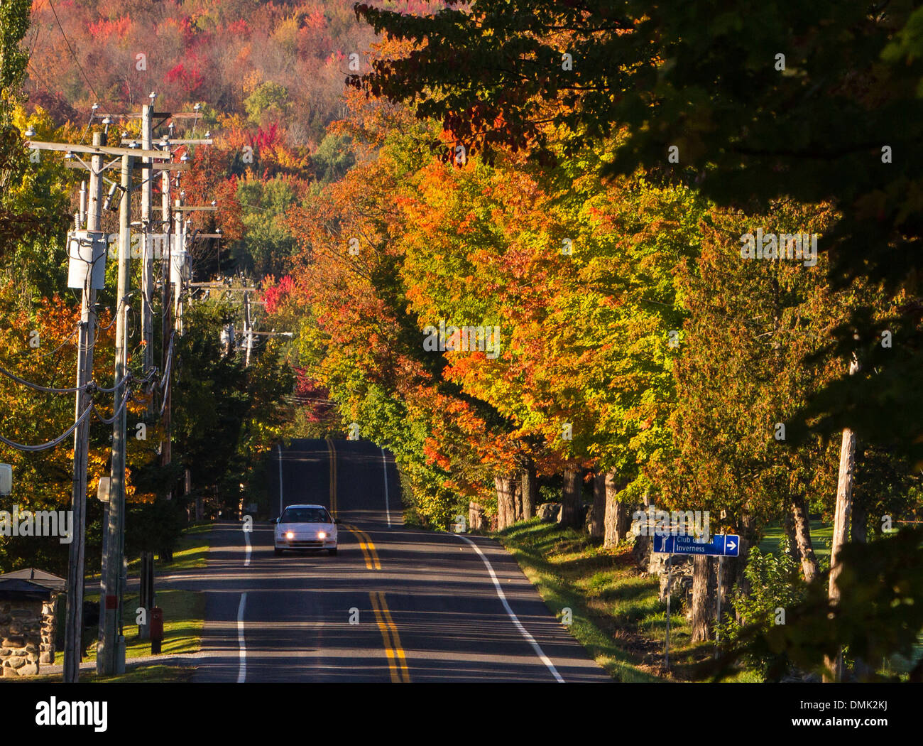 Percorso dei cantoni dell'EST, alberi di acero, estate indiana, i colori autunnali, ESTRIE, Quebec, Canada Foto Stock