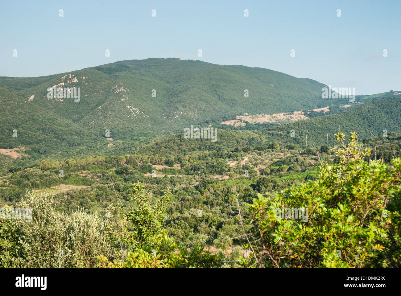Il Monte Calvi, situato nella provincia di Livorno, in Italia, è un'importante montagna che offre vedute panoramiche della regione circostante. La vista da sud-est mostra il suo terreno accidentato e la sua bellezza naturale, attirando escursionisti e amanti della natura. Questa montagna fa parte dell'Arcipelago Toscano, conosciuto per i suoi paesaggi mozzafiato e i diversi ecosistemi. Foto Stock